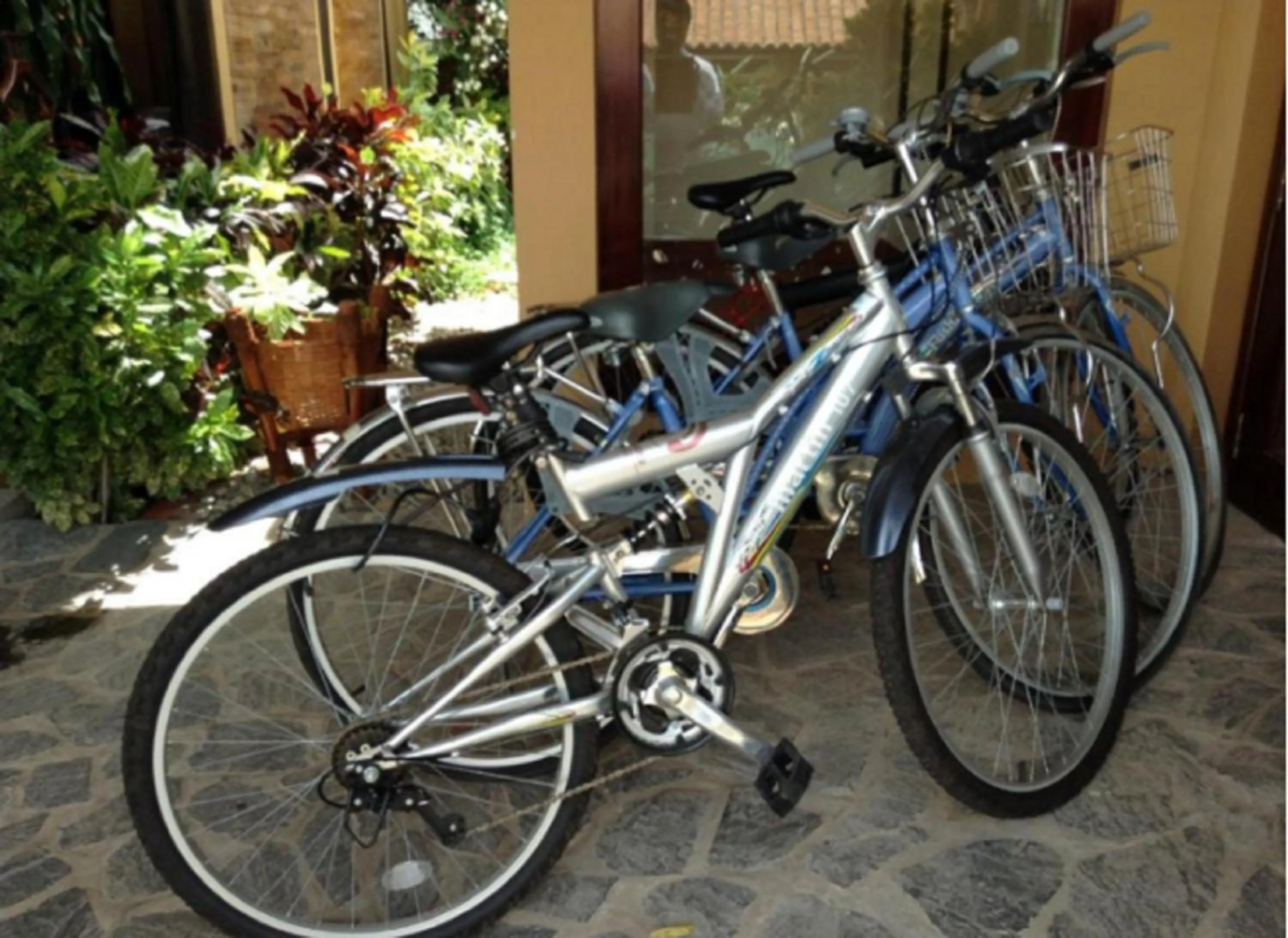 Other, Biking in Poshanu Boutique Resort