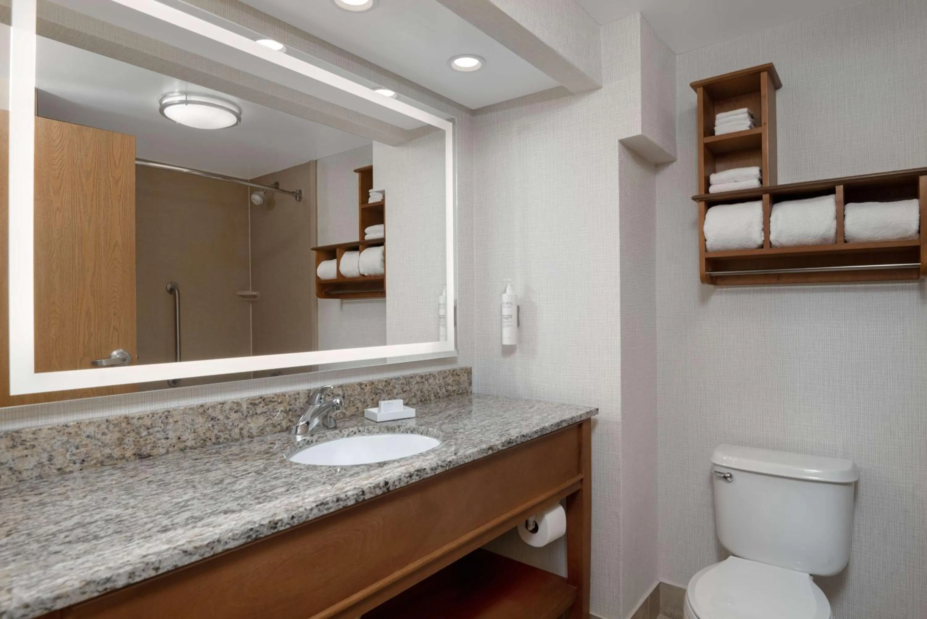 Bathroom in Hampton Inn Tallahassee-Central