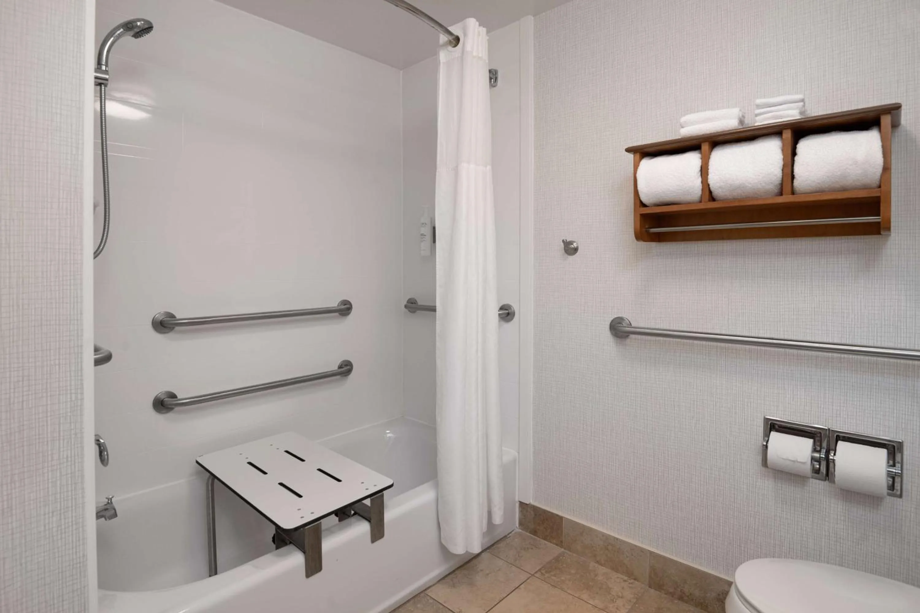 Bathroom in Hampton Inn Tallahassee-Central