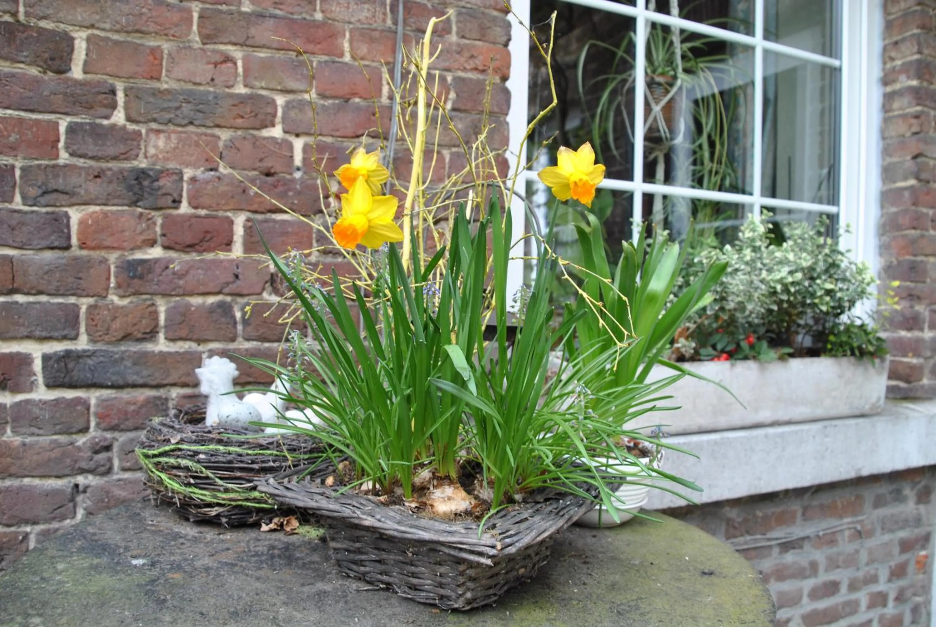 Patio in B&B Het Loonderhof