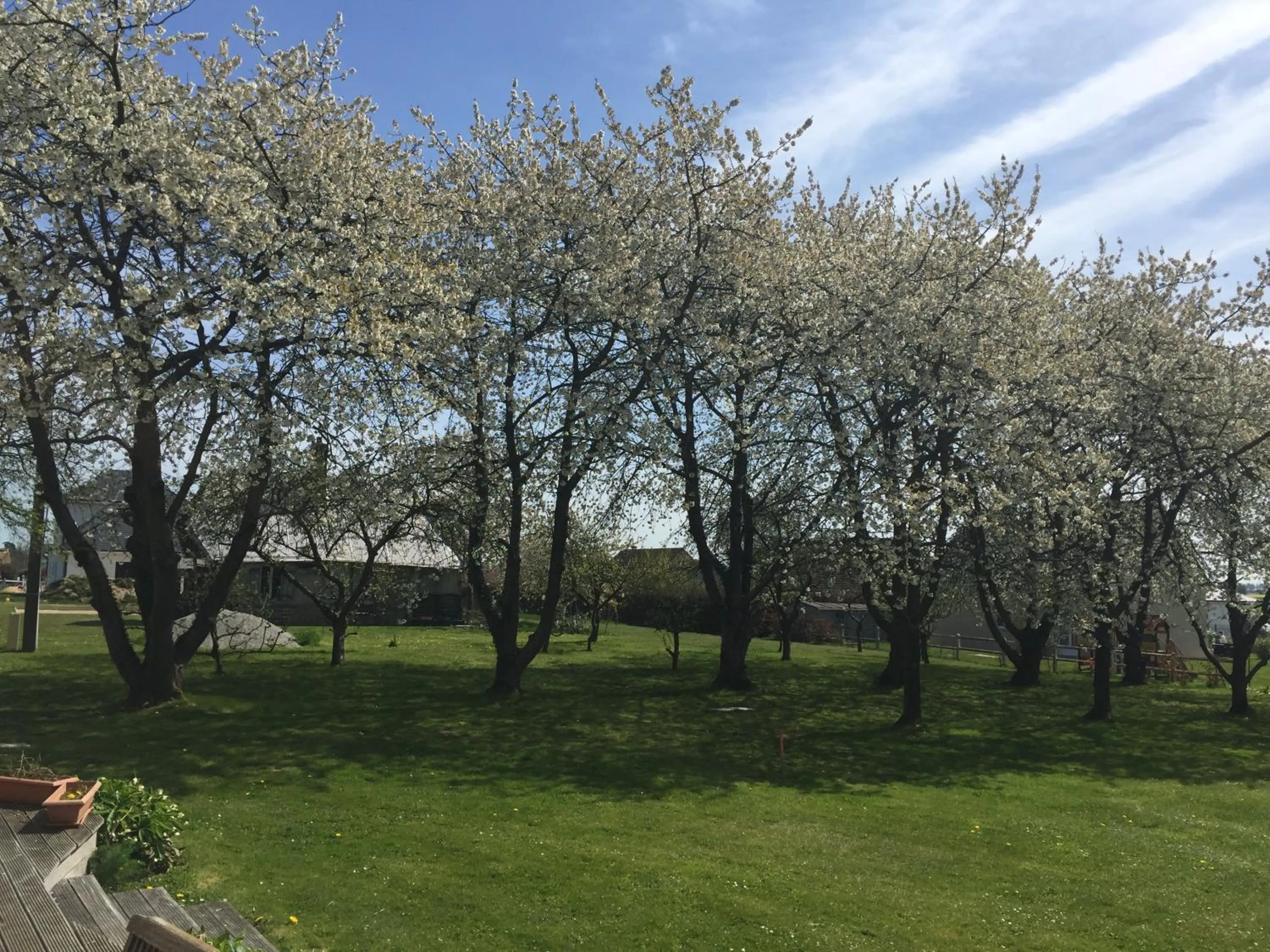 Garden view in Chambres D'hôtes le clos de la Bertinière petit déjeuner inclus