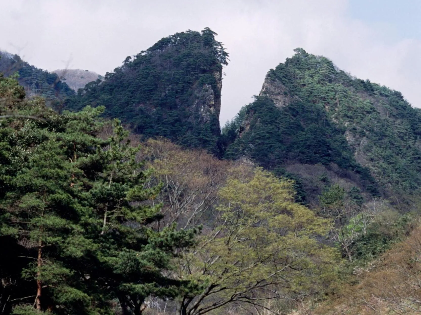 Nearby landmark in Hotel Sunroute Niigata