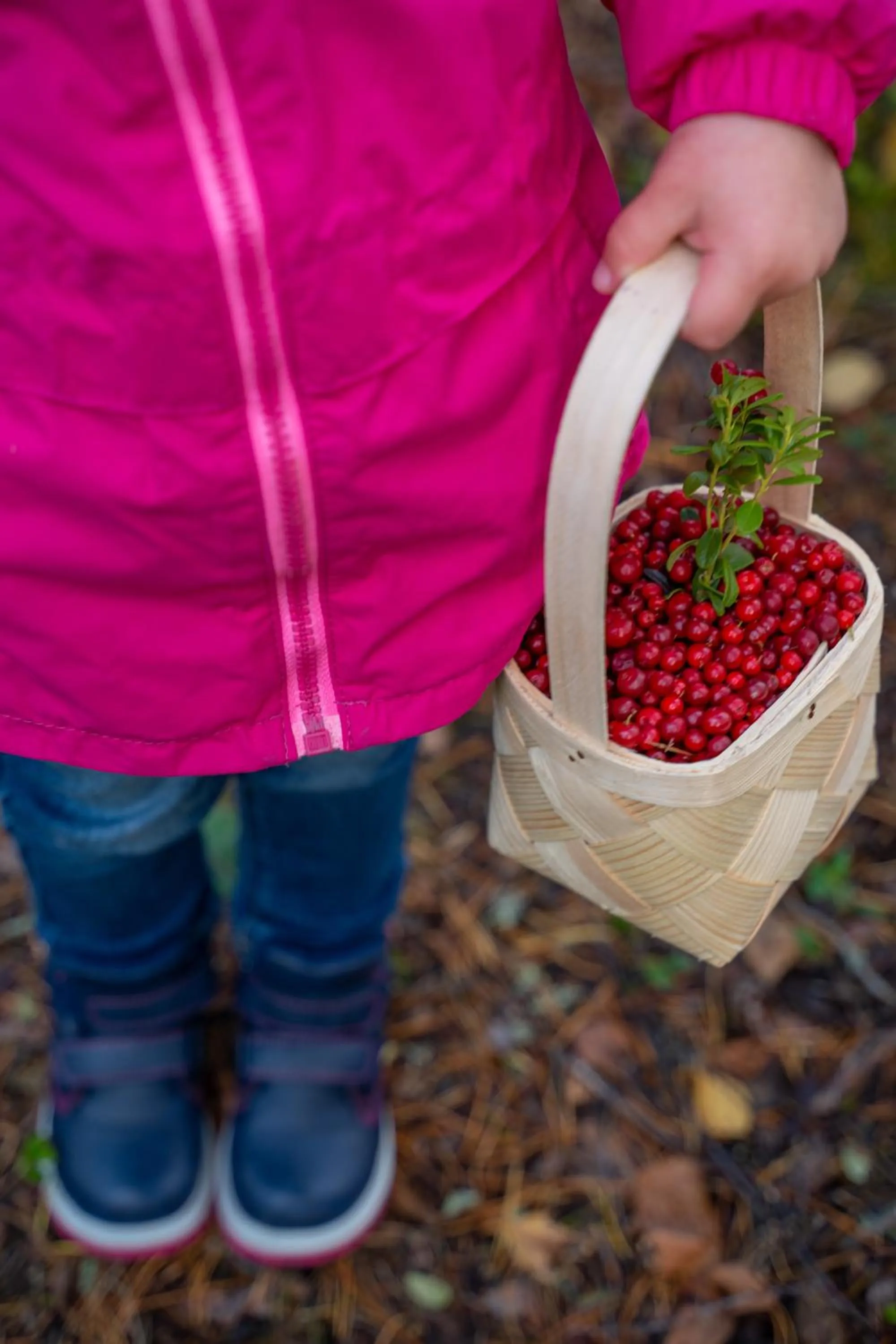 Off site in Holiday Village Kukkapää