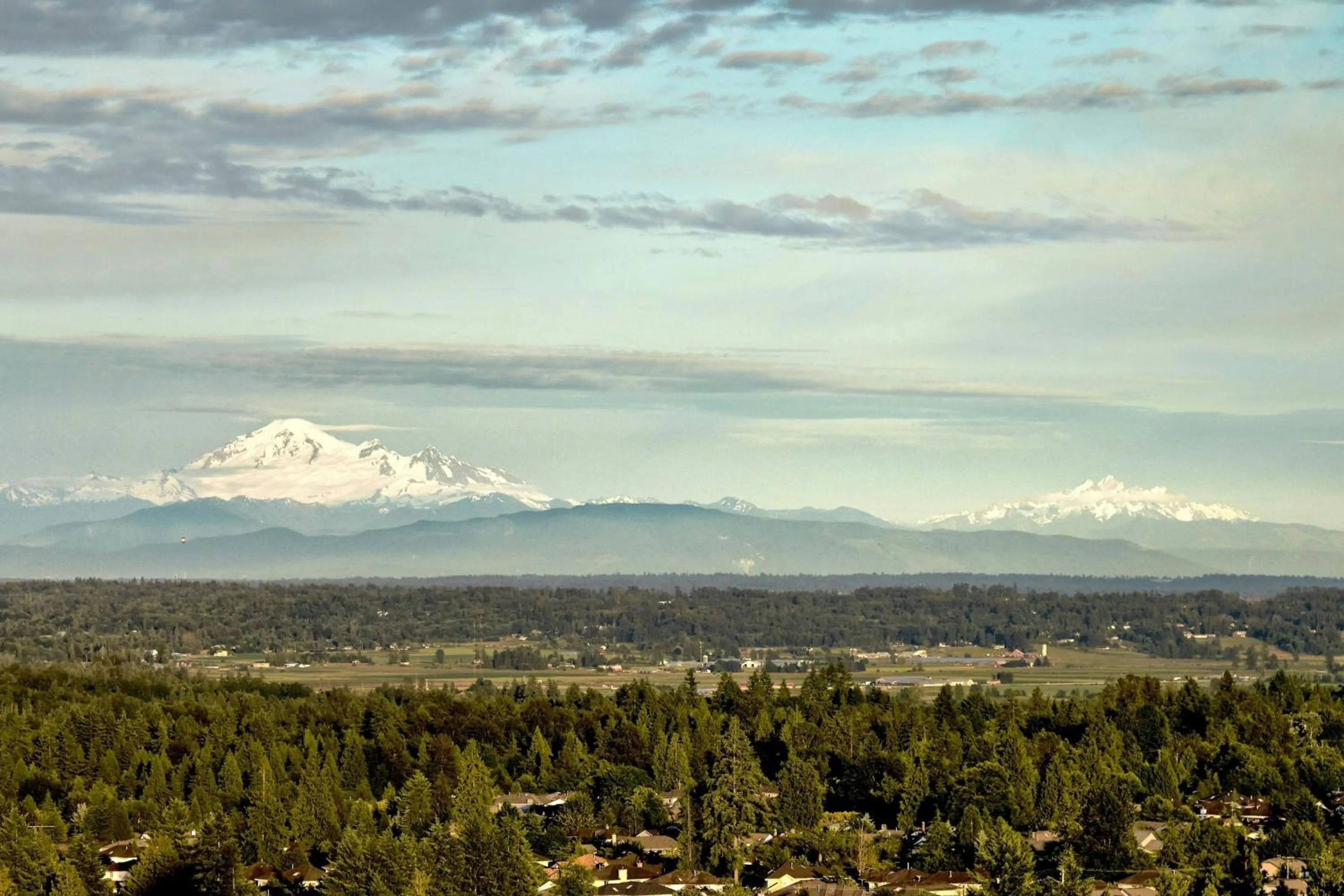 Bedroom in Sheraton Vancouver Guildford Hotel