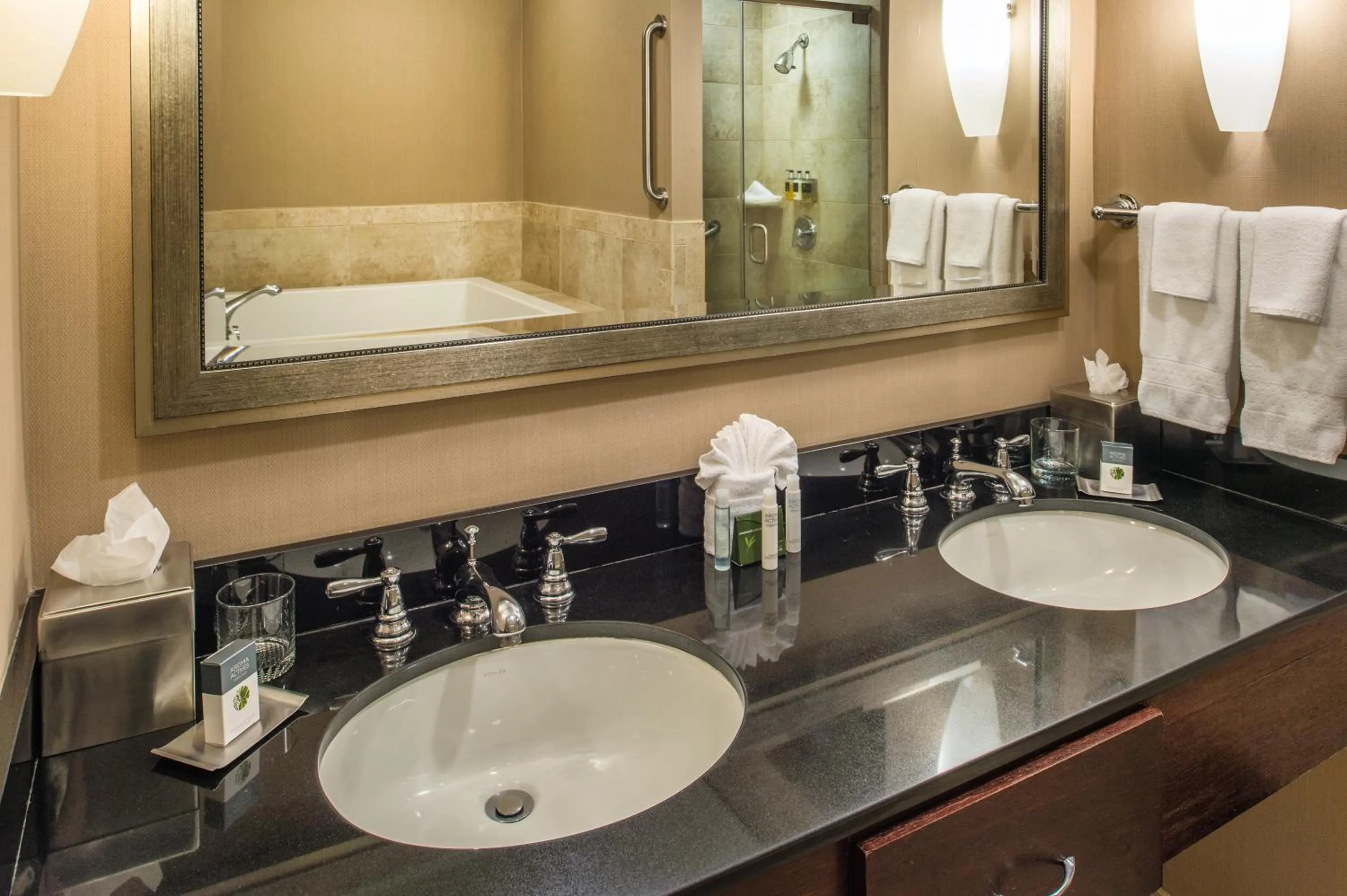 Bathroom in DoubleTree by Hilton Portland