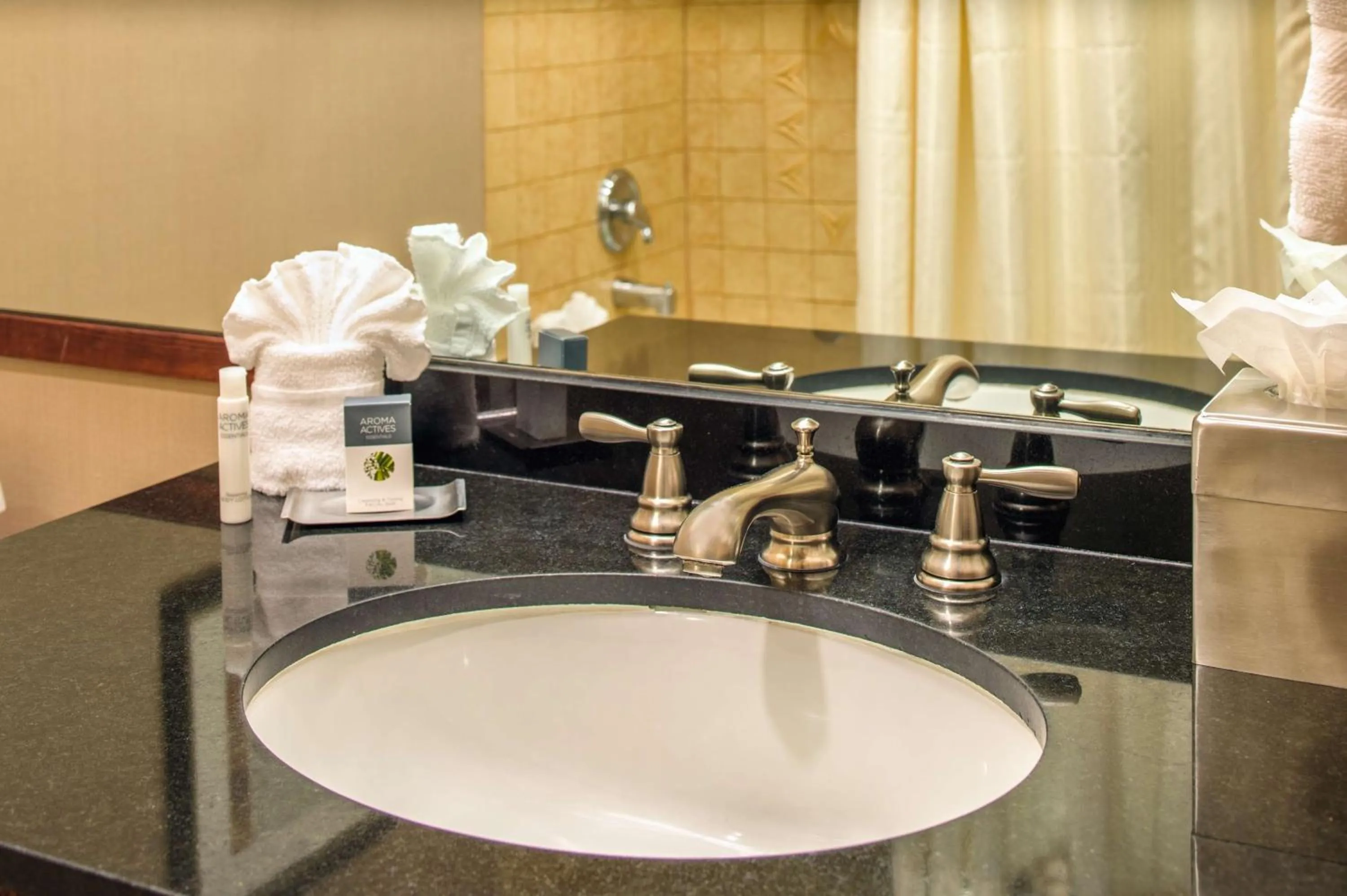 Bathroom in DoubleTree by Hilton Portland