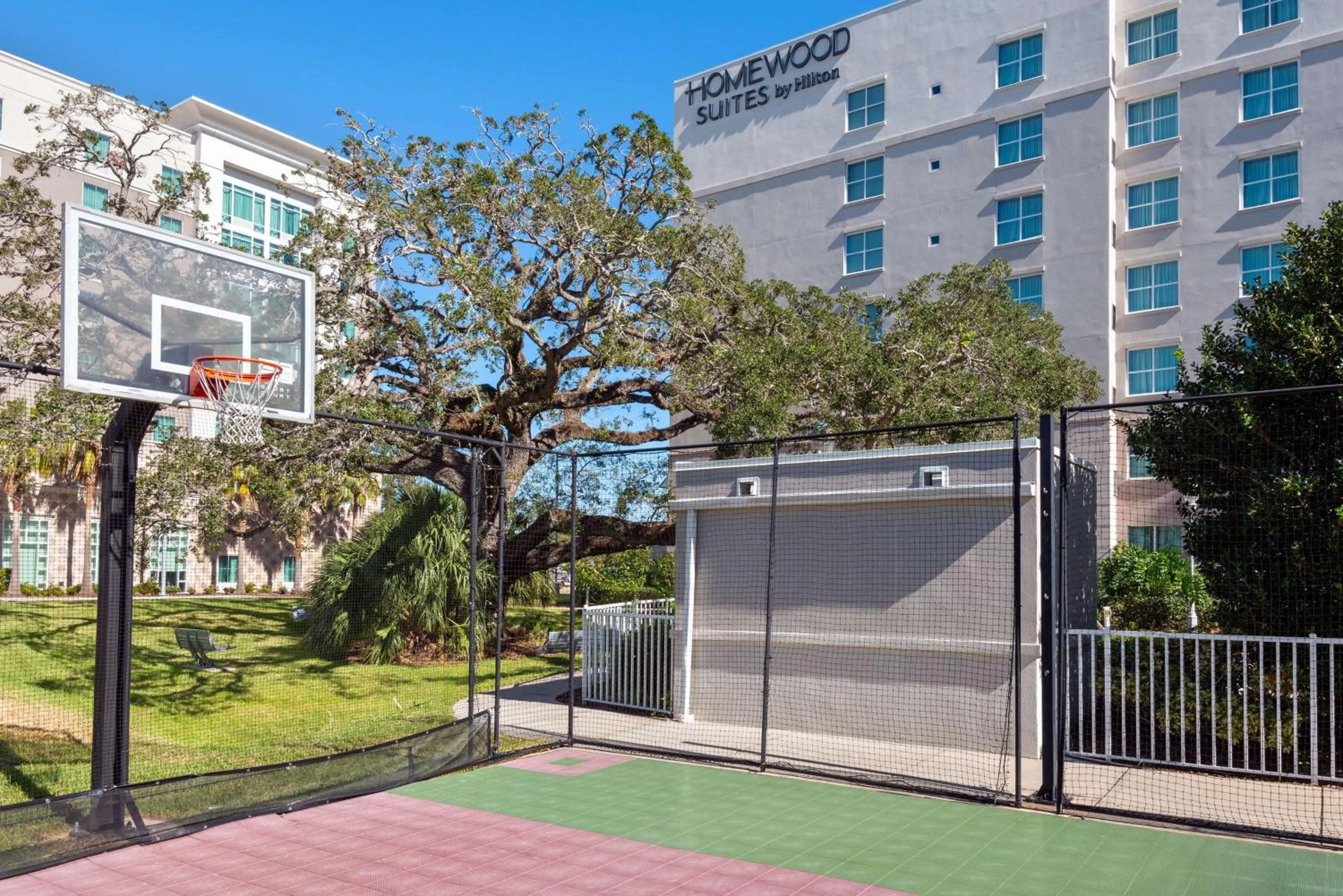 Sports in Homewood Suites by Hilton Tampa Airport - Westshore