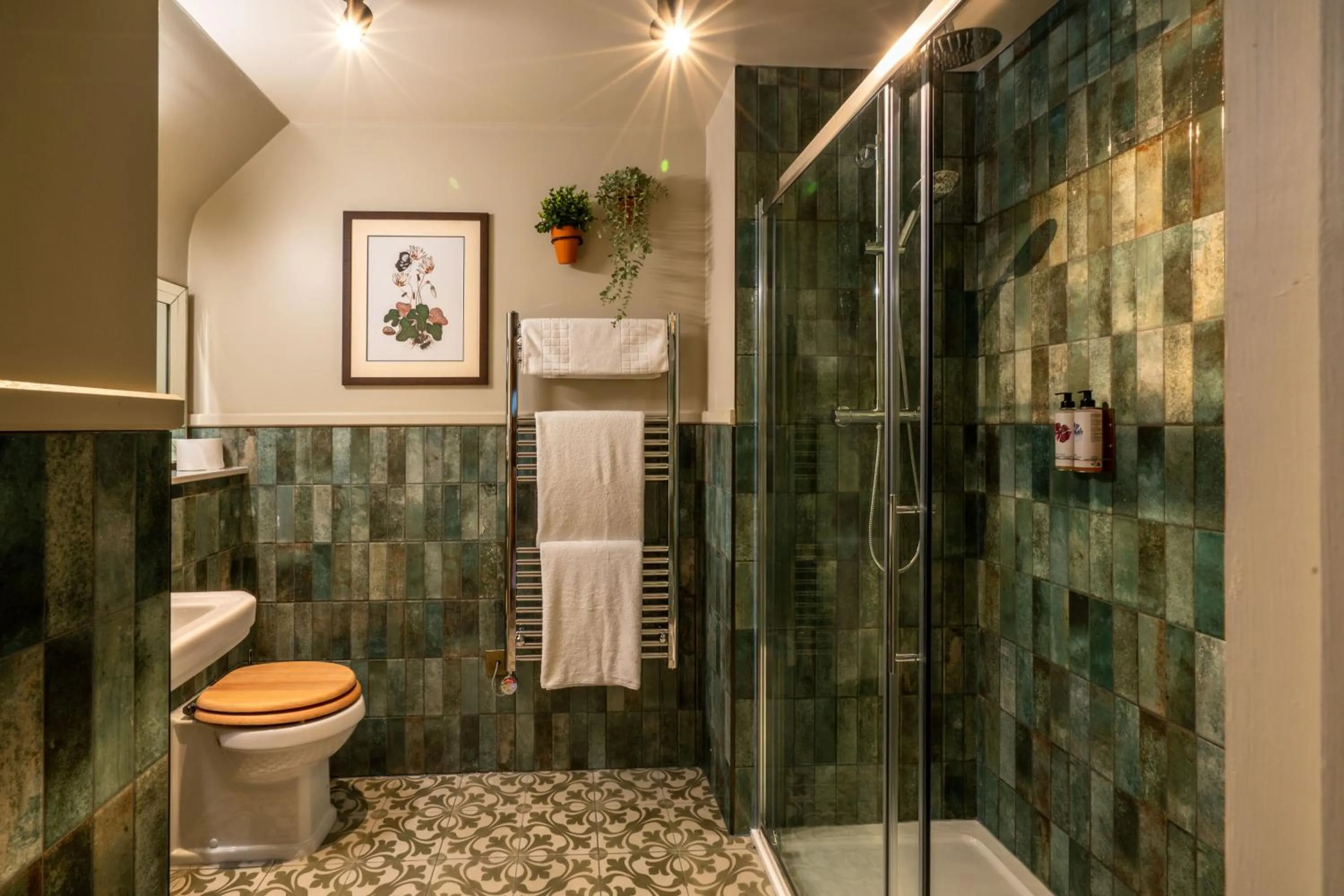 Shower in The Old House Inn