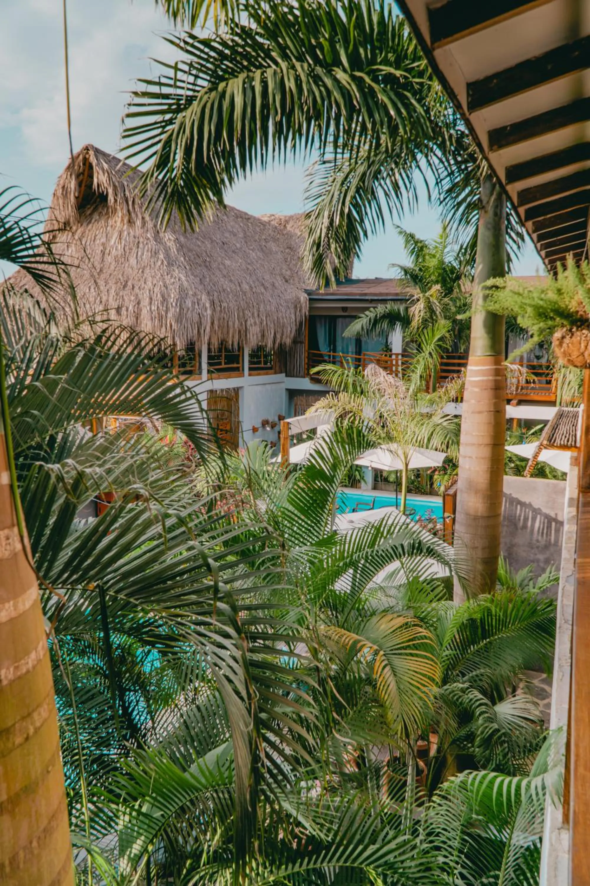 Garden view in Villa Eden Palomino