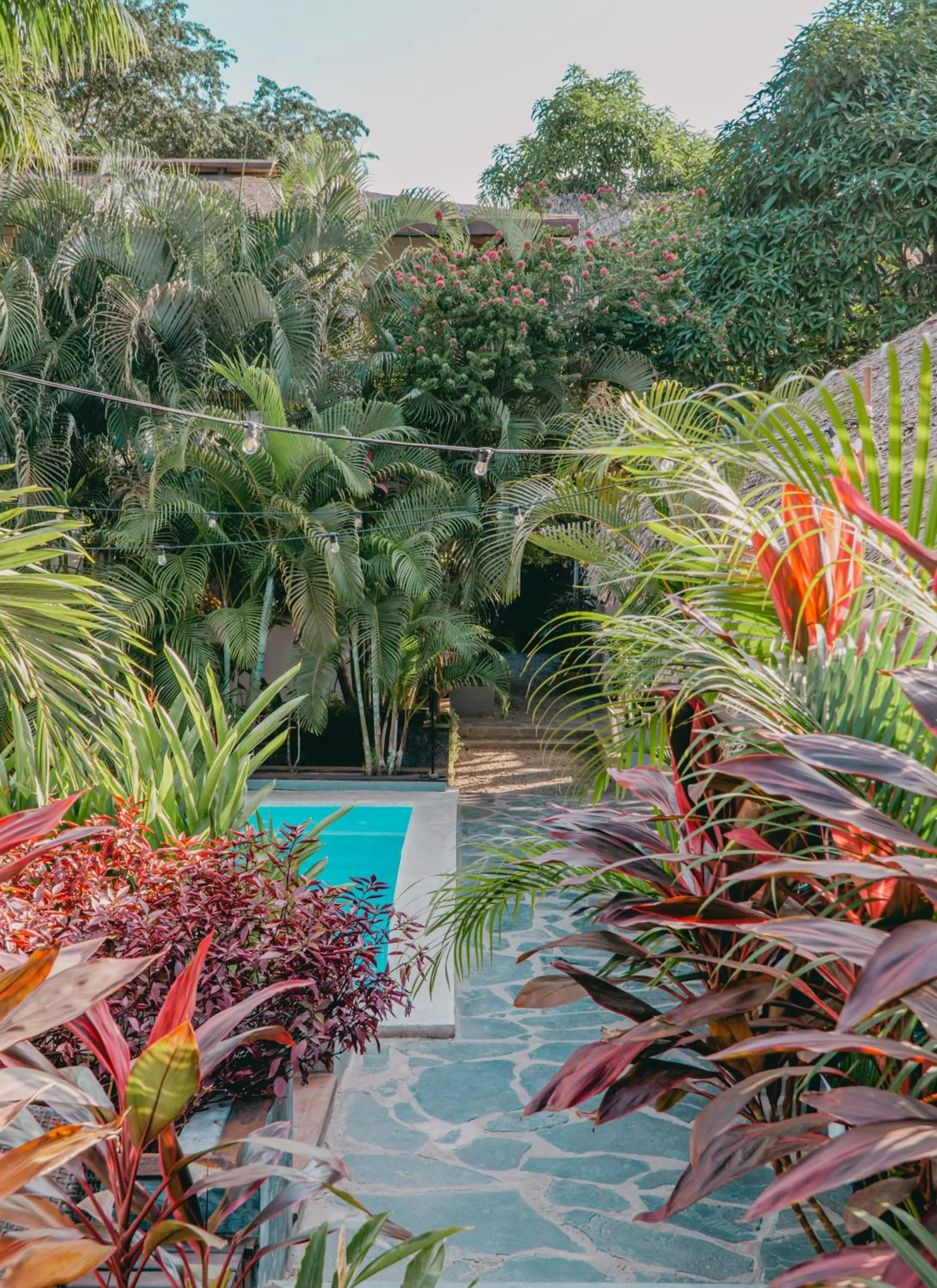 Natural landscape in Villa Eden Palomino