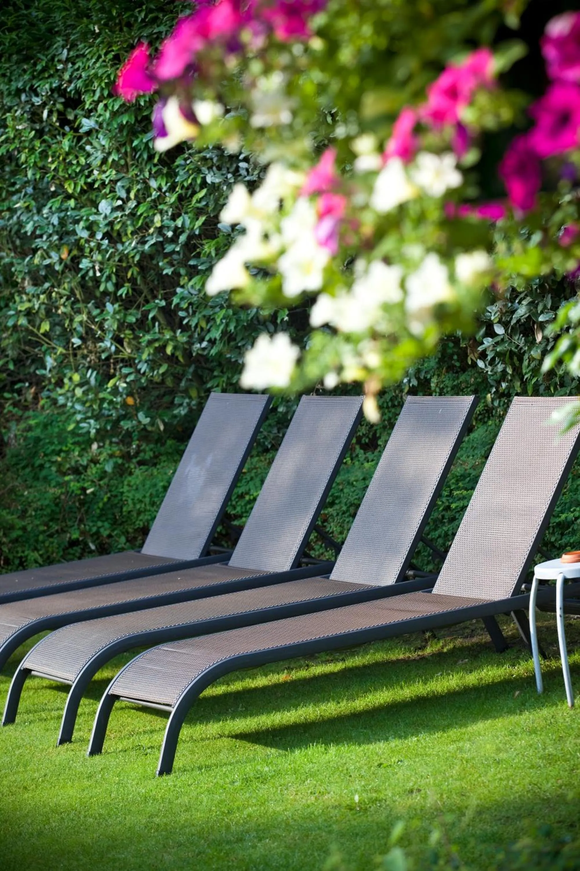 Garden in Hotel Thermen Mineraal