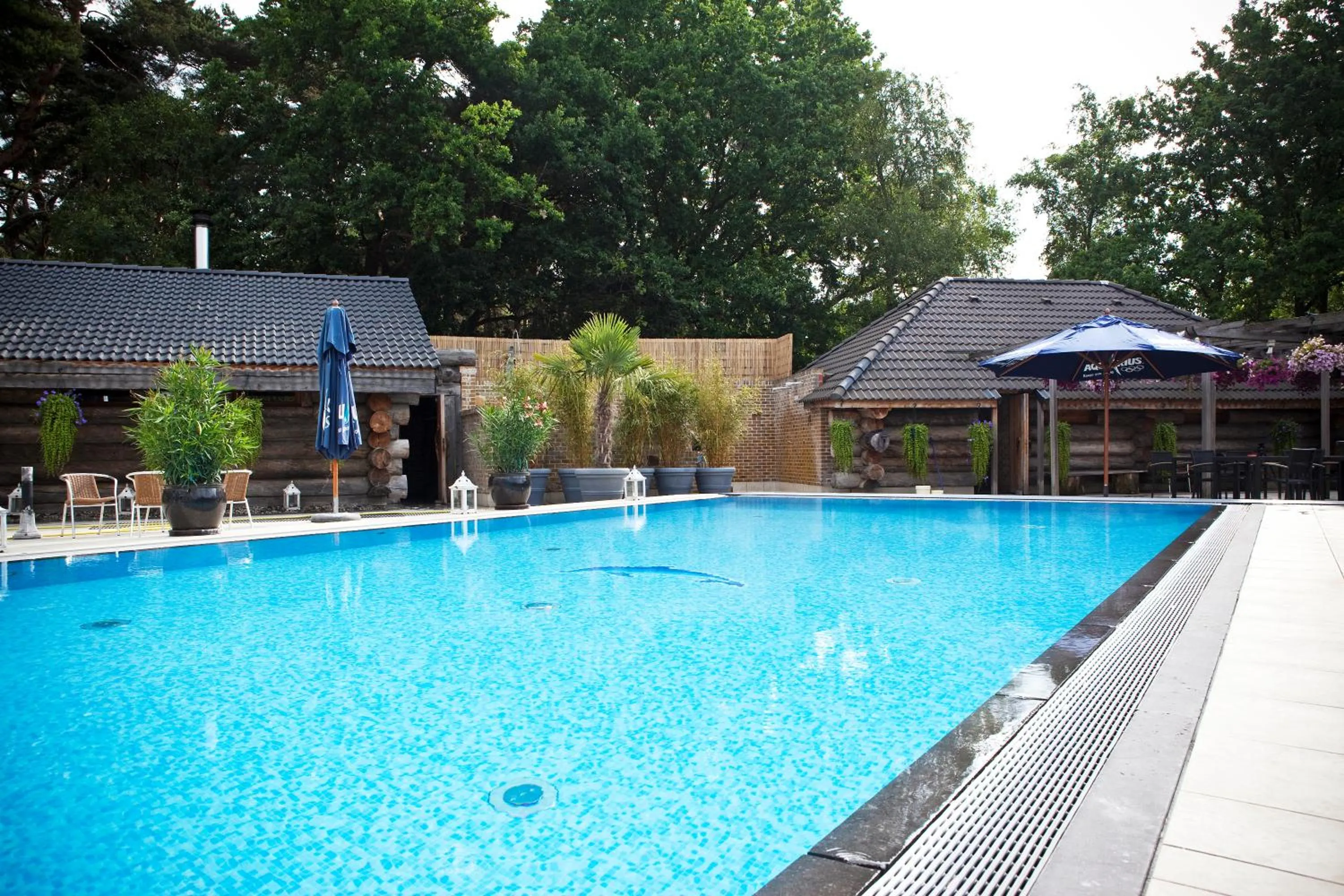 Swimming pool in Hotel Thermen Mineraal