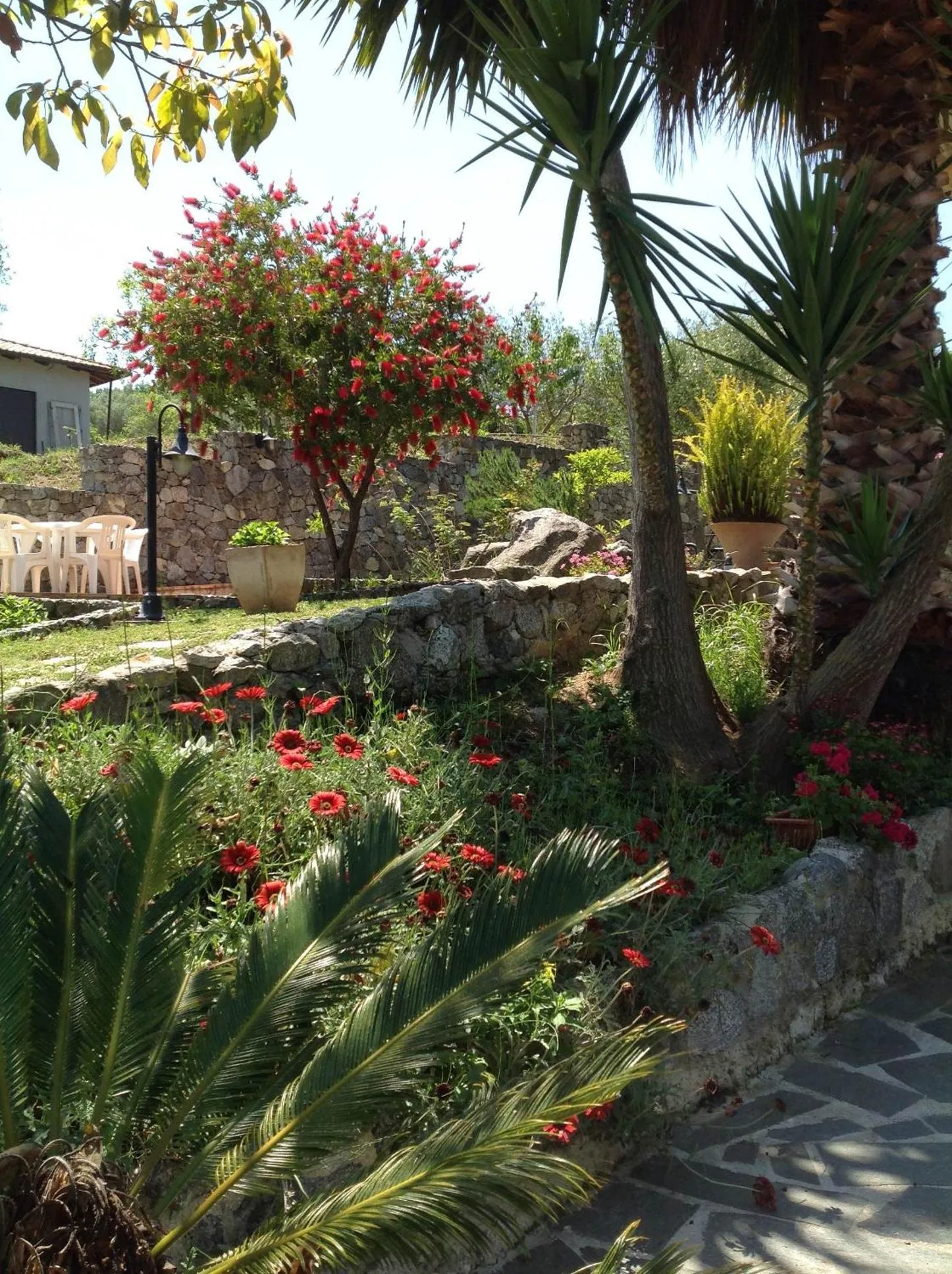 Spring in B & B Korello