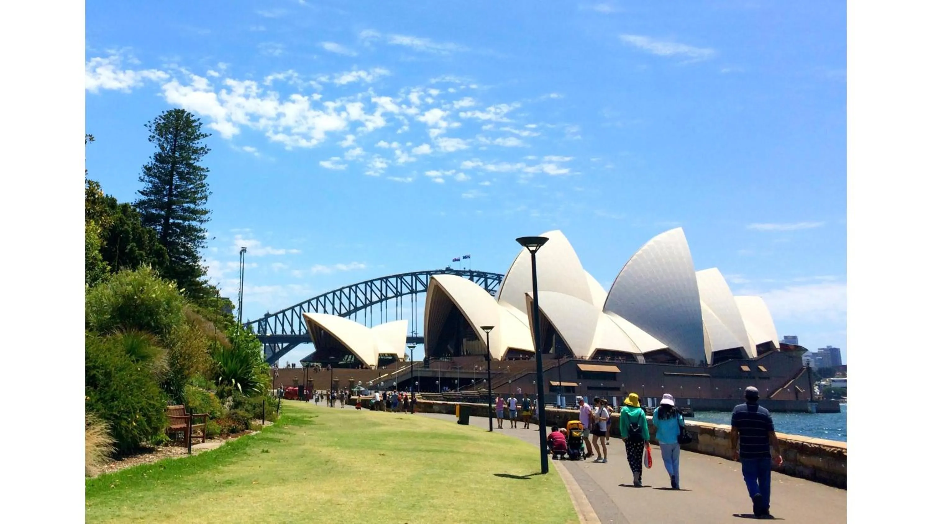 Area and facilities in Holiday Inn Sydney Potts Point