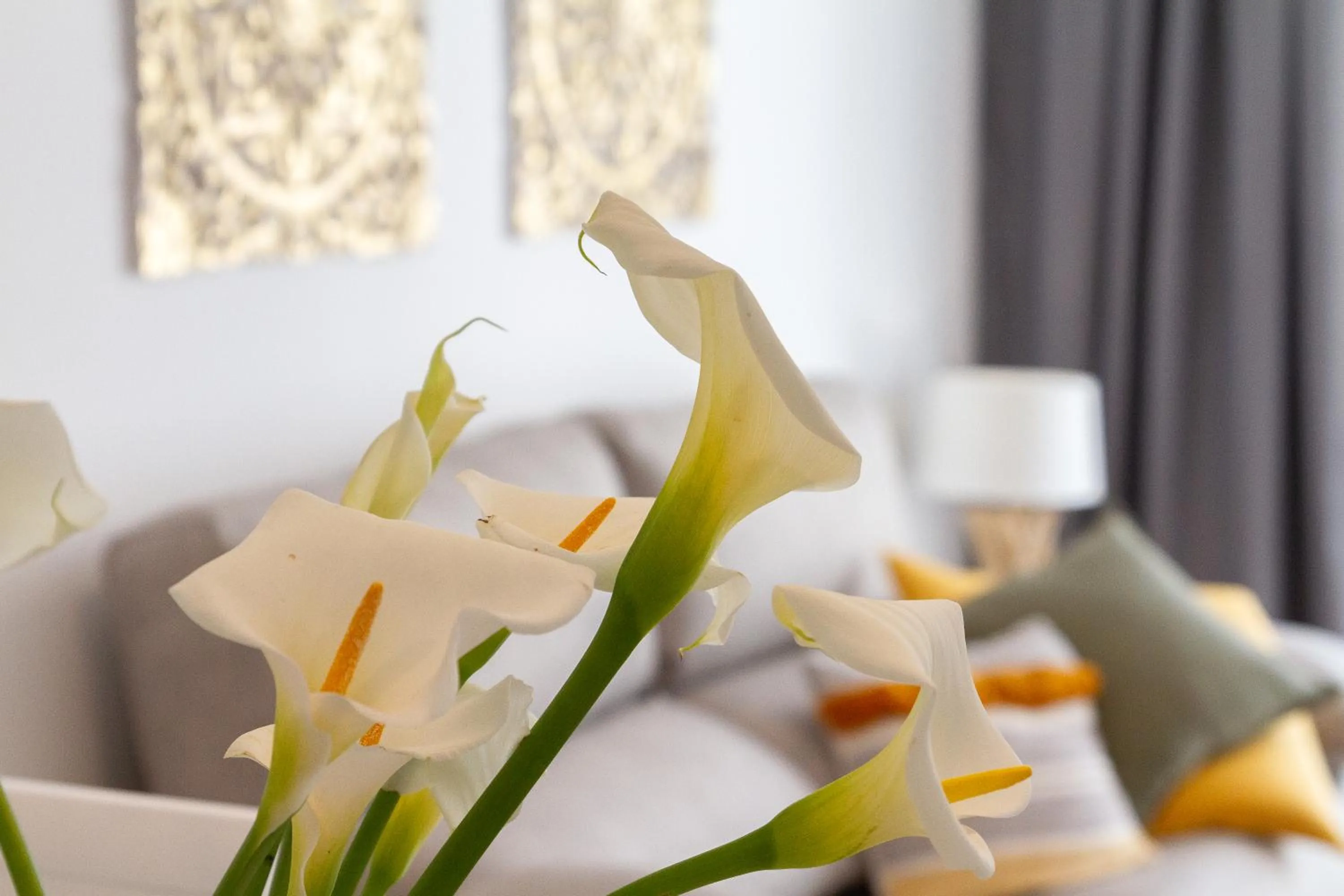 Living room in Duerming O Casal da Martiña