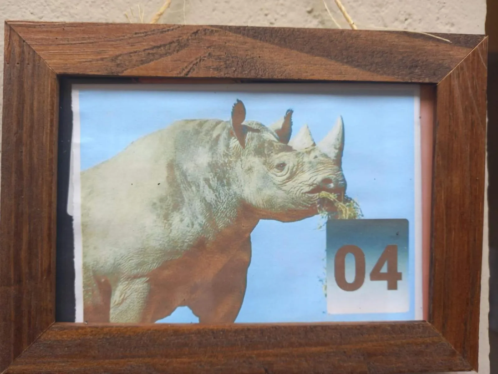 Animals in Pousada Zambeze