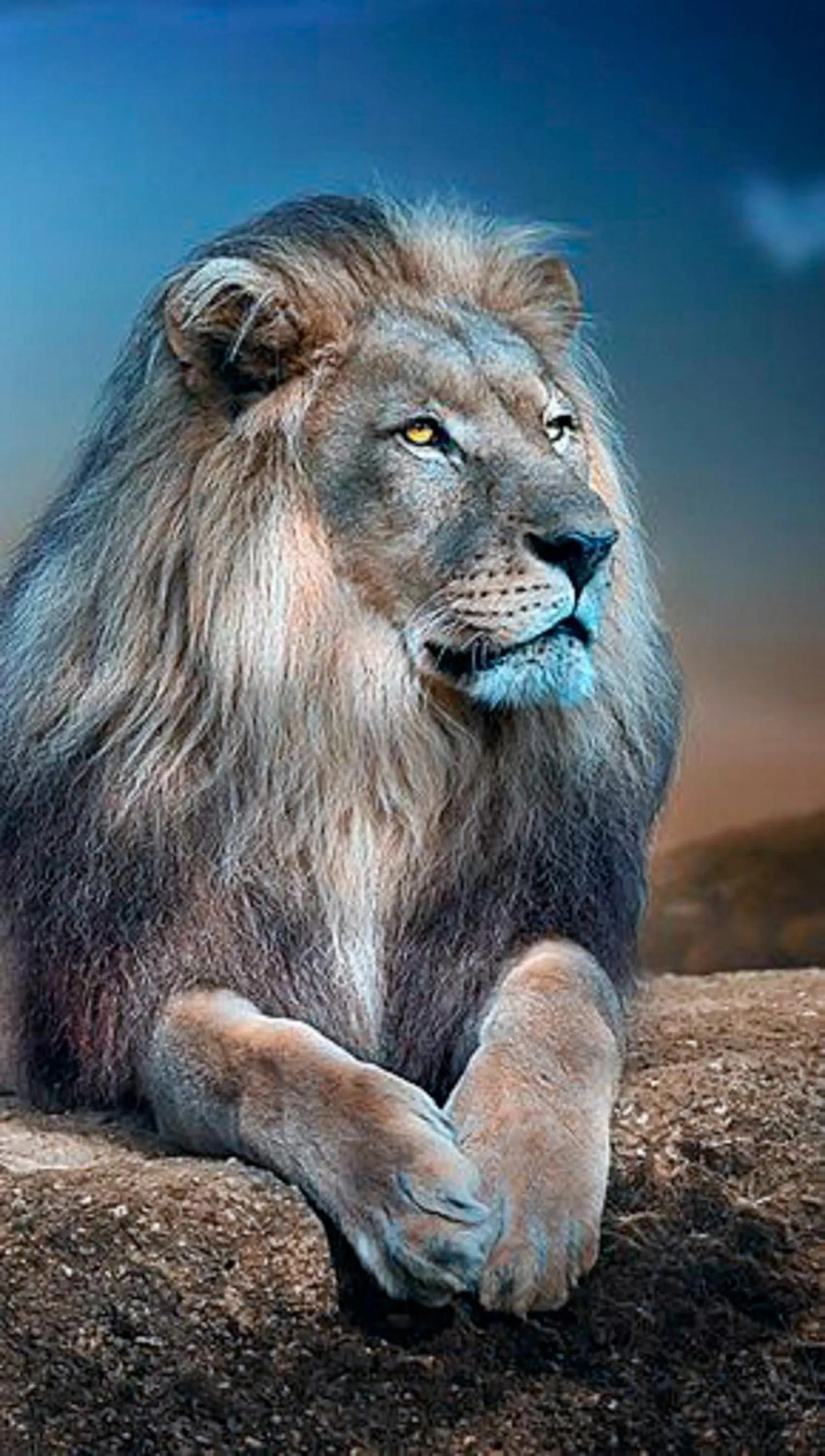 Animals in Pousada Zambeze