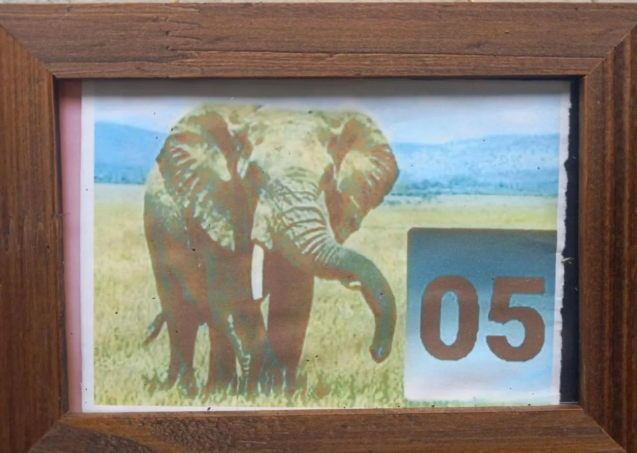 Animals in Pousada Zambeze