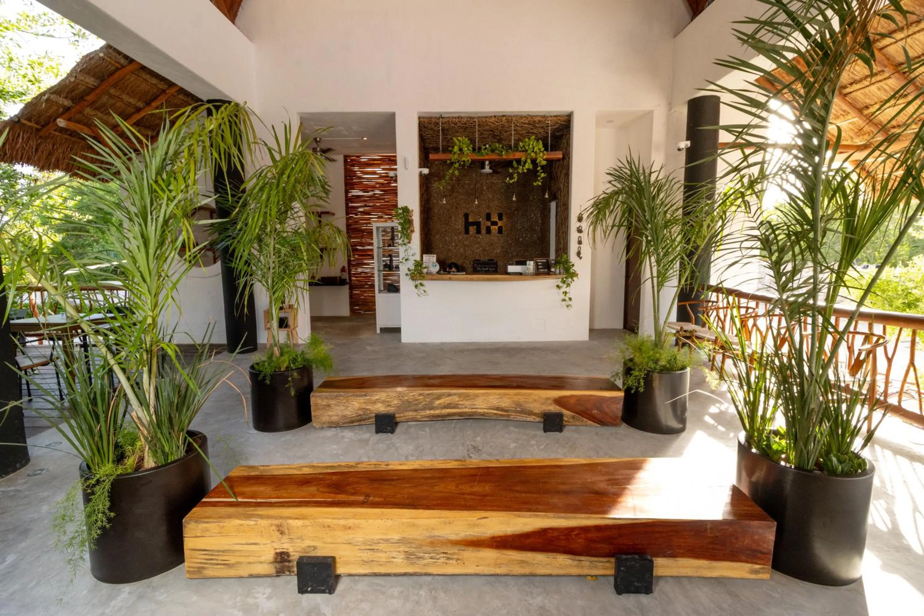 Lobby or reception in Hotel Casa HX - Adults Only