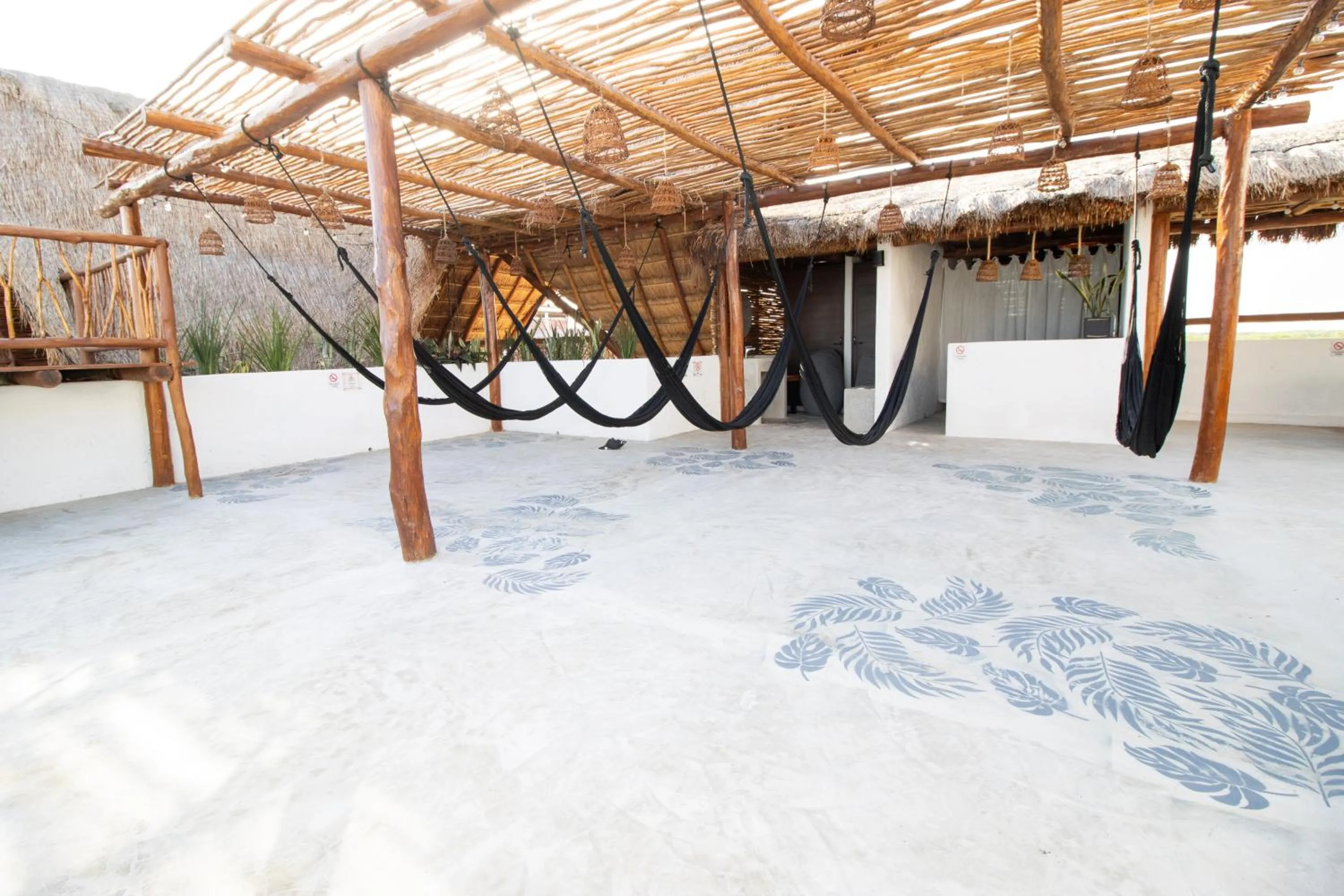 Area and facilities in Hotel Casa HX - Adults Only