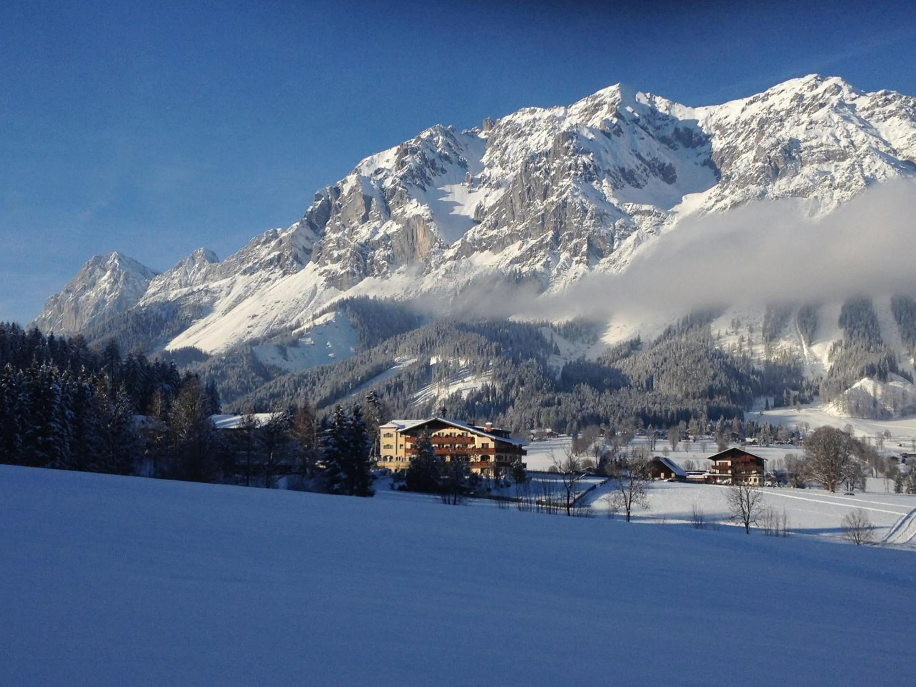 Natural landscape in Hotel Ennstalerhof