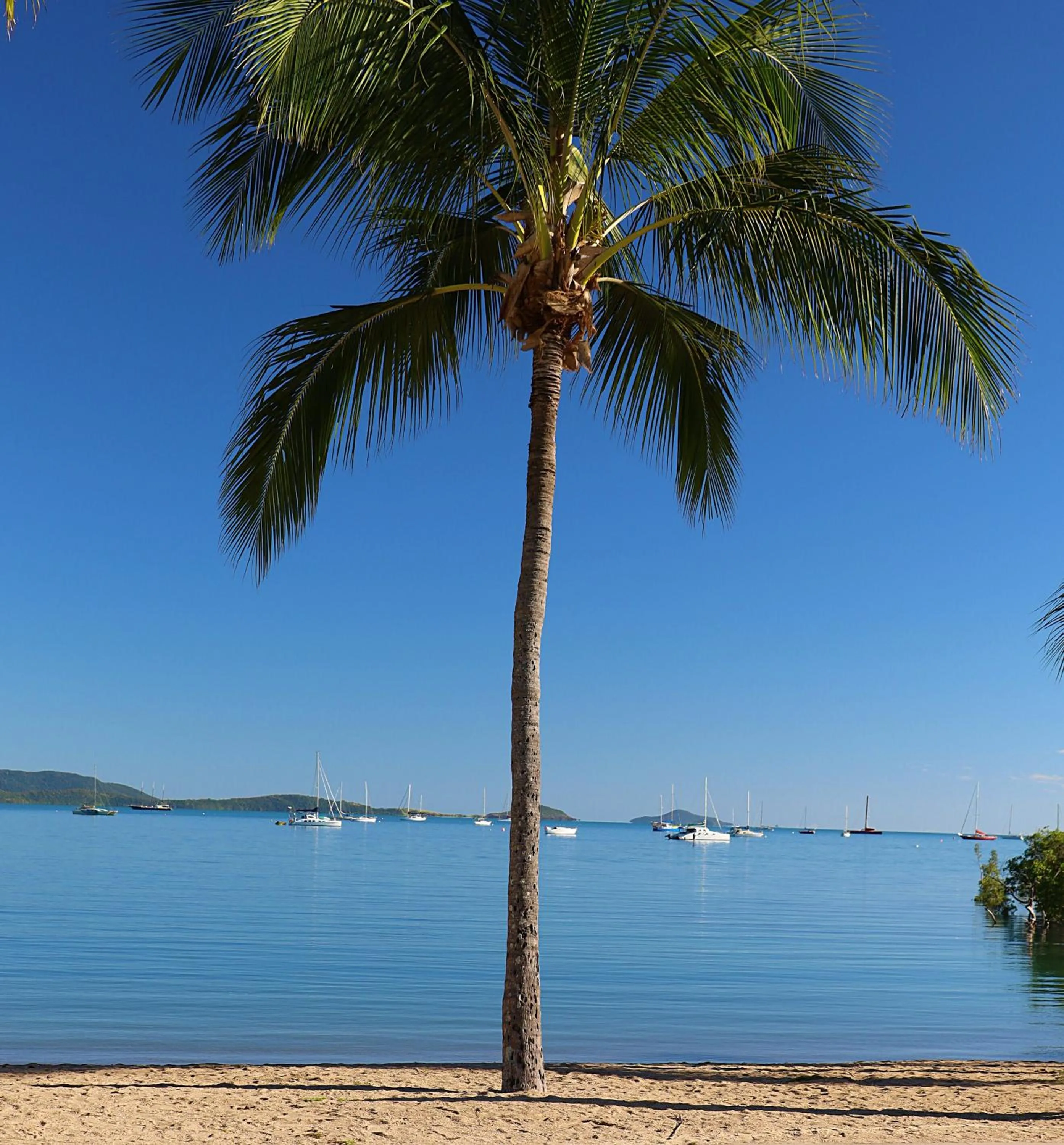 Natural landscape in Whitsunday Terraces Resort