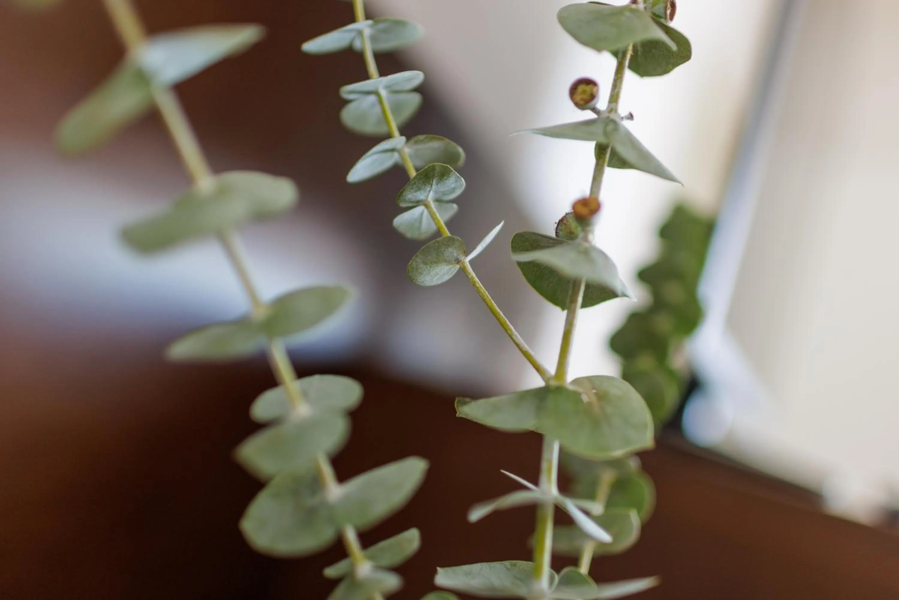 Photo of the whole room in Hotel Garni Toscanina - Adults Only