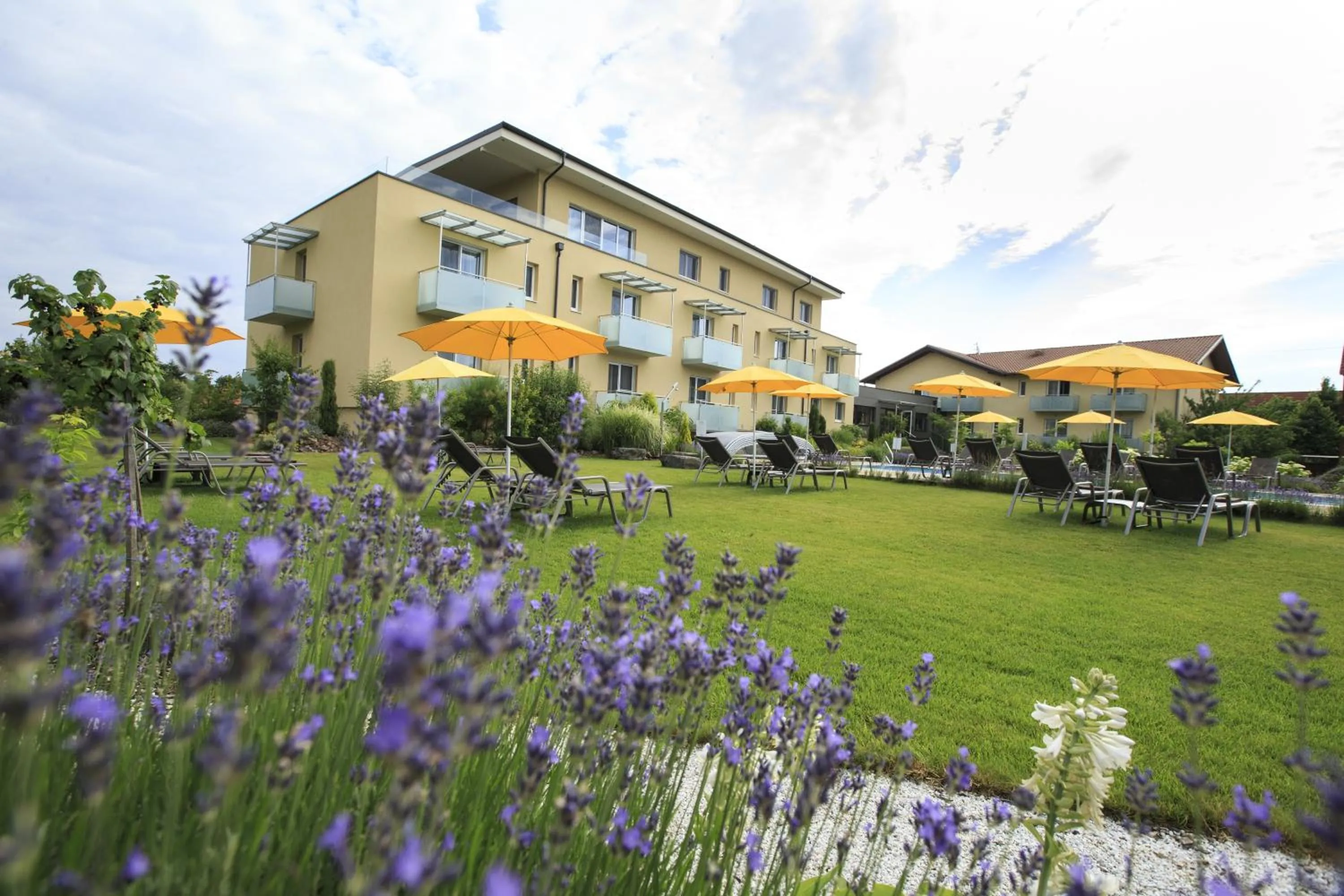 Garden view in Hotel Garni Toscanina - Adults Only