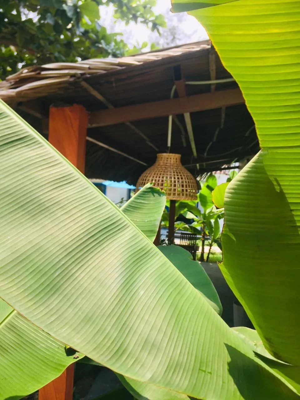 Hoi An Blue Seaside Homestay