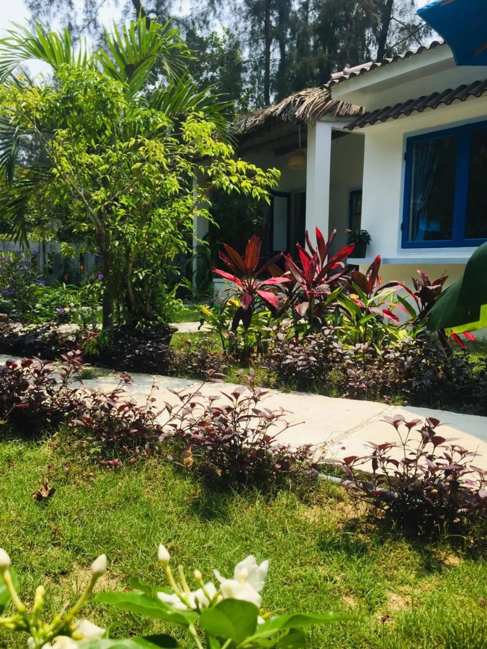 Hoi An Blue Seaside Homestay