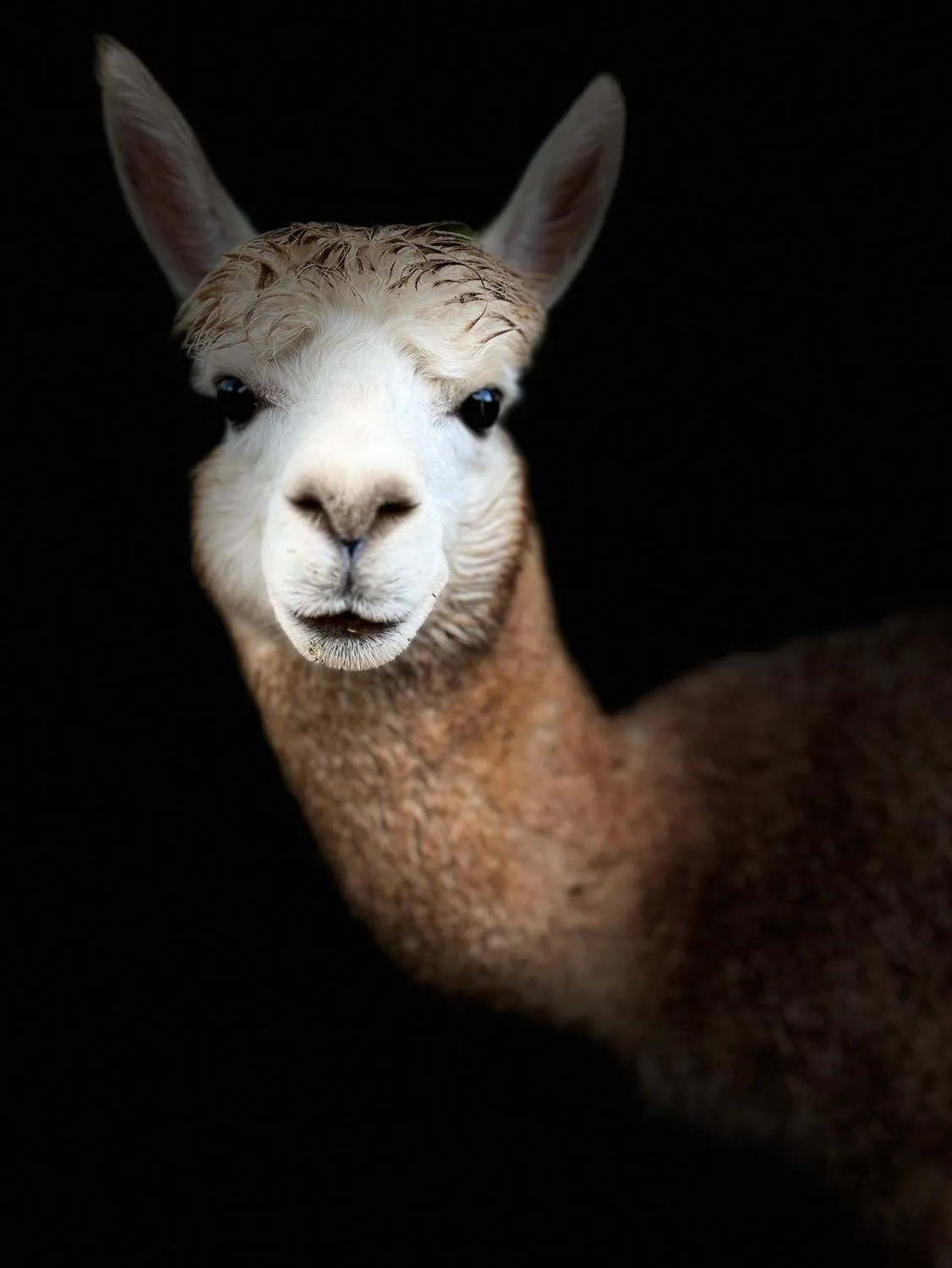 Balingup Jalbrook Cottages Jalbrook Estate