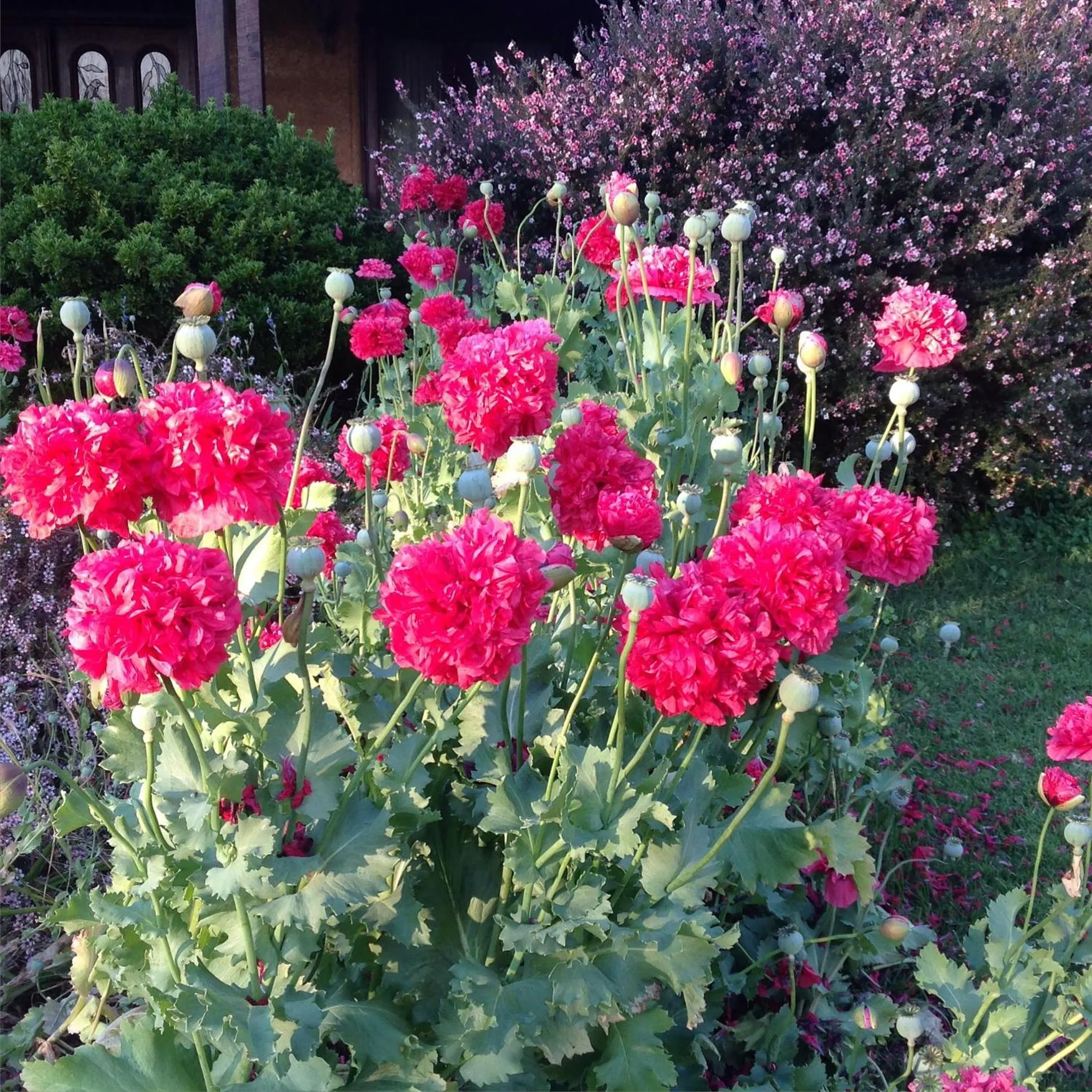 Balingup Jalbrook Cottages Jalbrook Estate