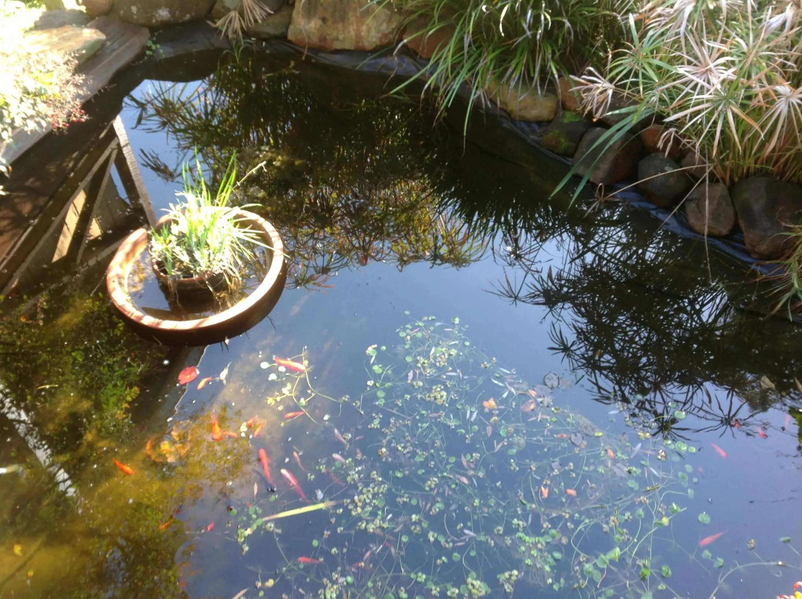 Balingup Jalbrook Cottages Jalbrook Estate