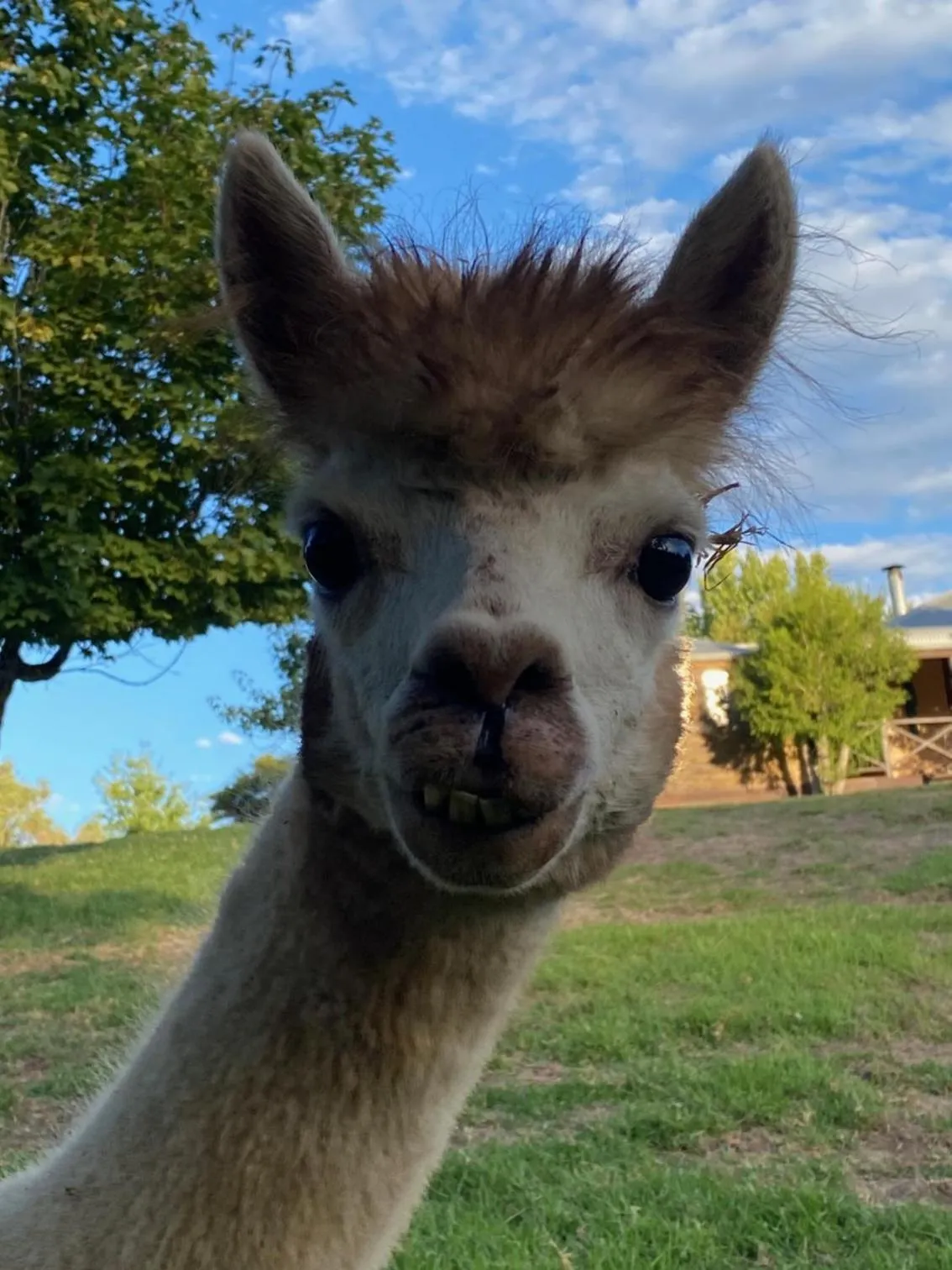 Balingup Jalbrook Cottages Jalbrook Estate