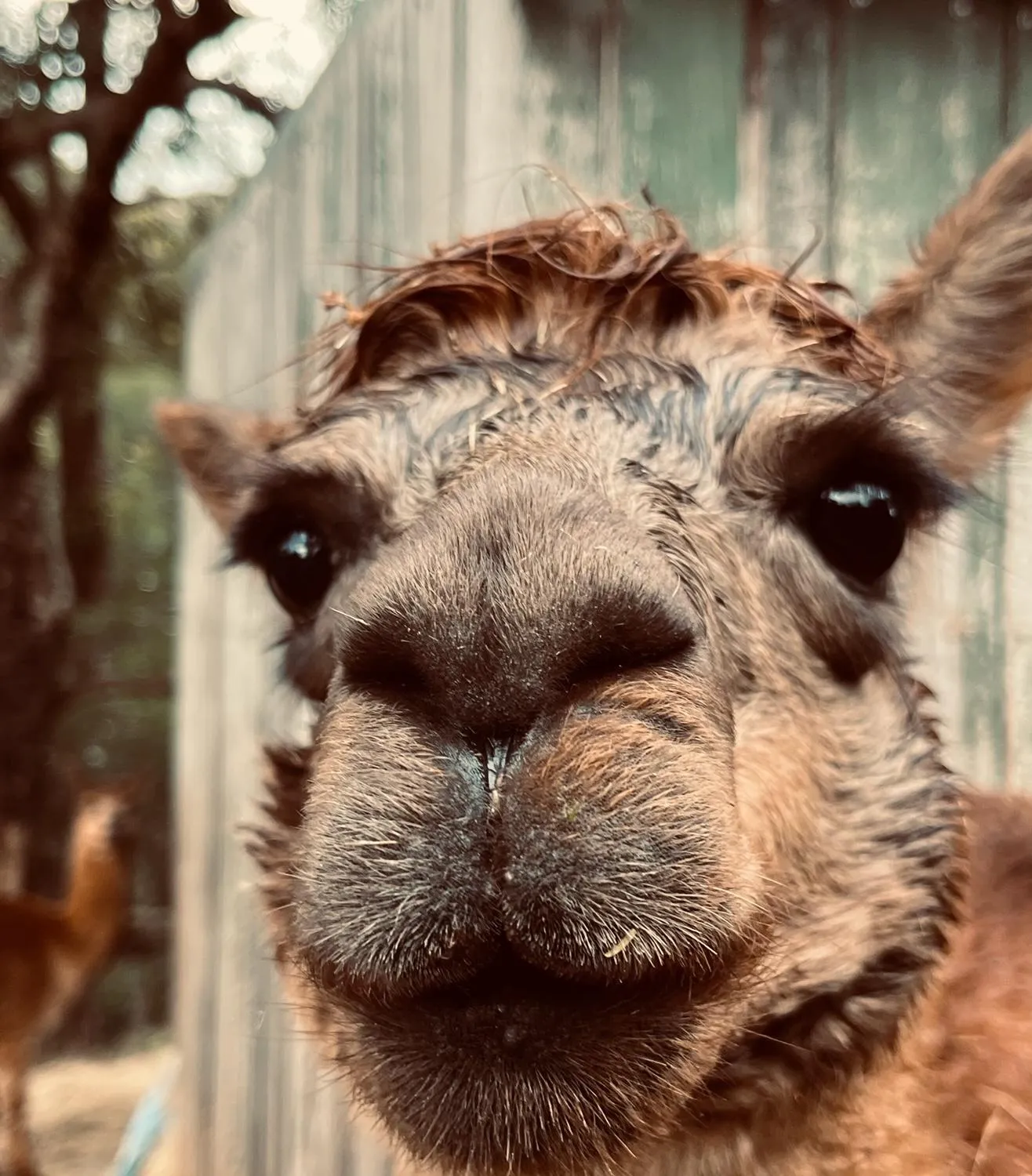 Balingup Jalbrook Cottages Jalbrook Estate