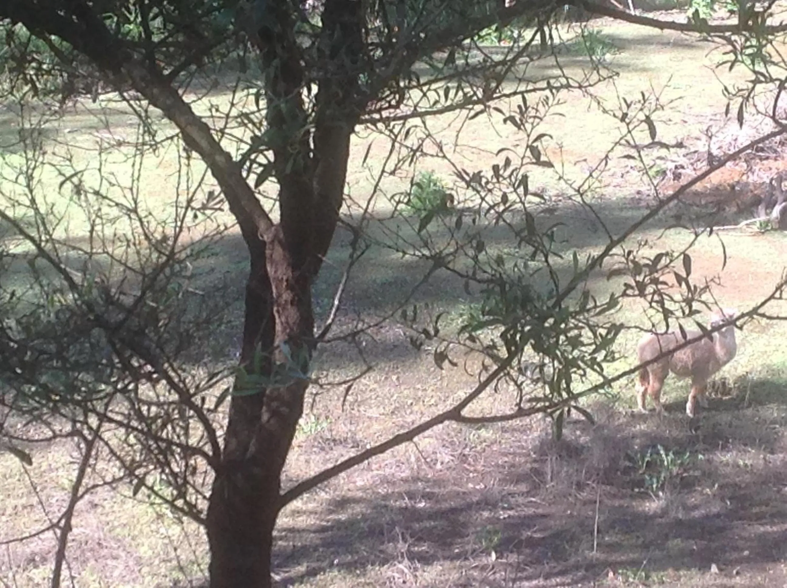 Balingup Jalbrook Cottages Jalbrook Estate