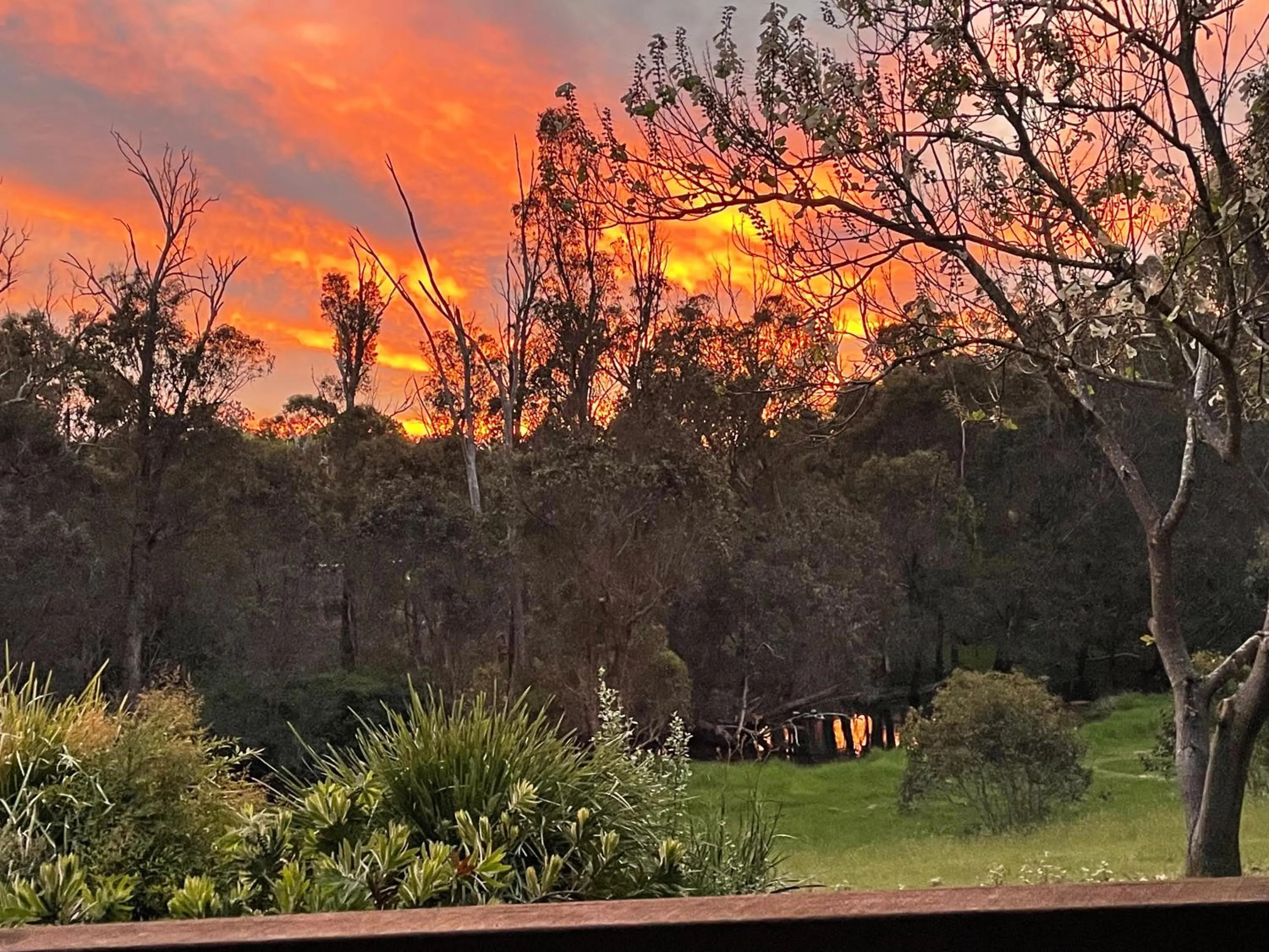 Natural landscape in Balingup Jalbrook Cottages Jalbrook Estate