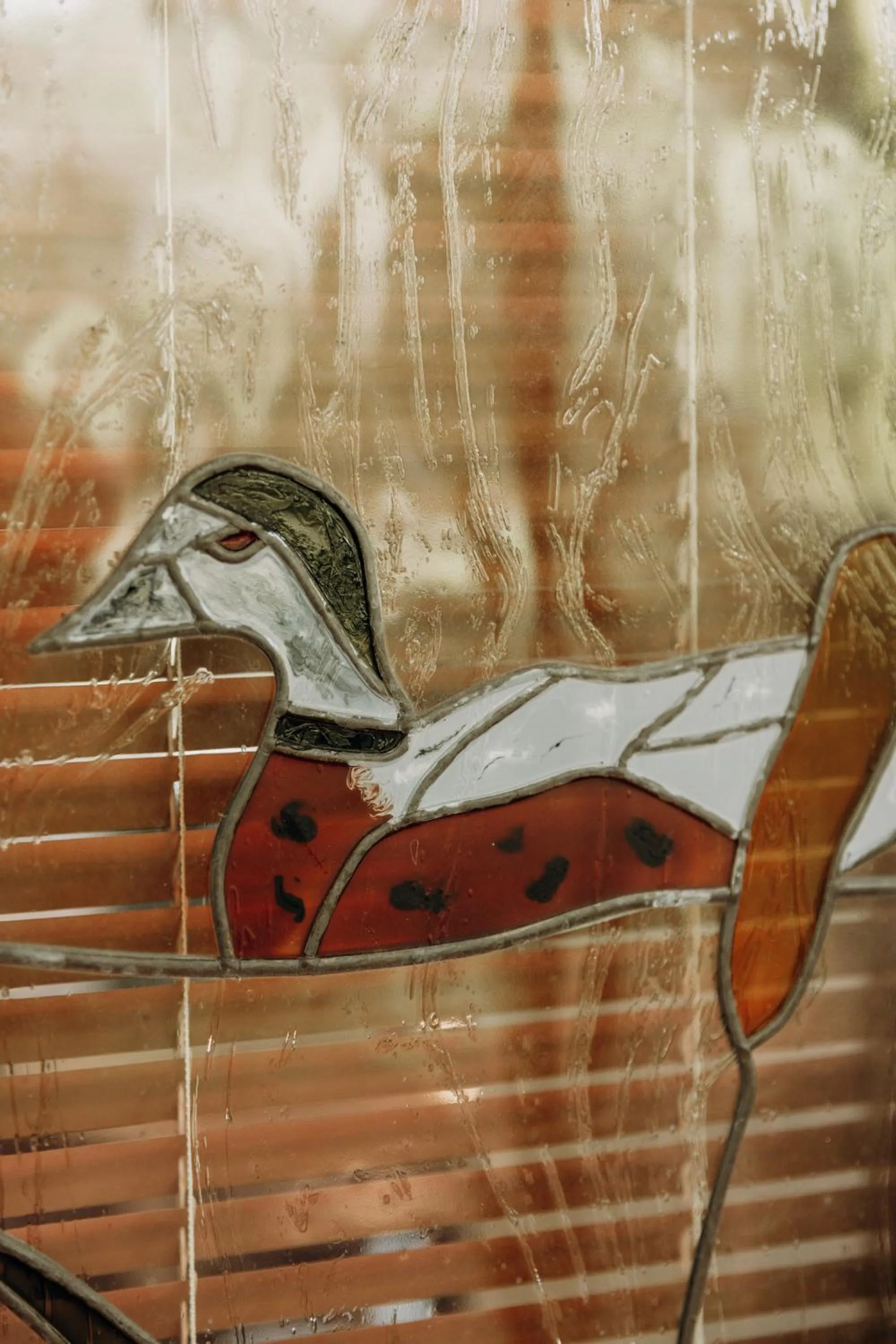 Balingup Jalbrook Cottages Jalbrook Estate