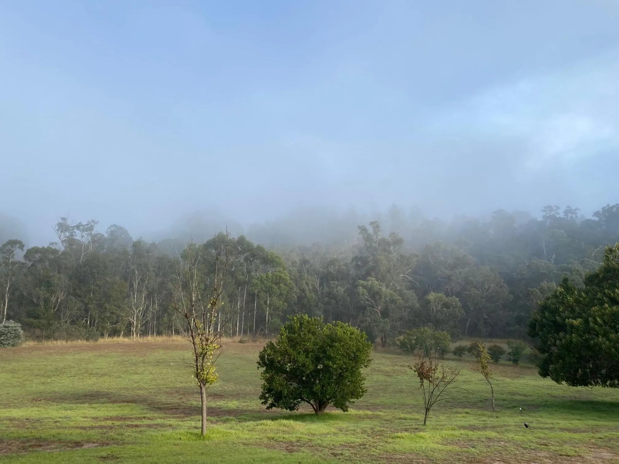 Natural landscape in Balingup Jalbrook Cottages Jalbrook Estate