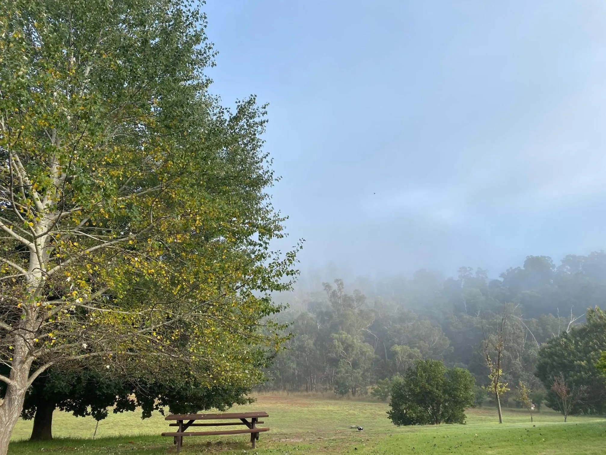 Balingup Jalbrook Cottages Jalbrook Estate