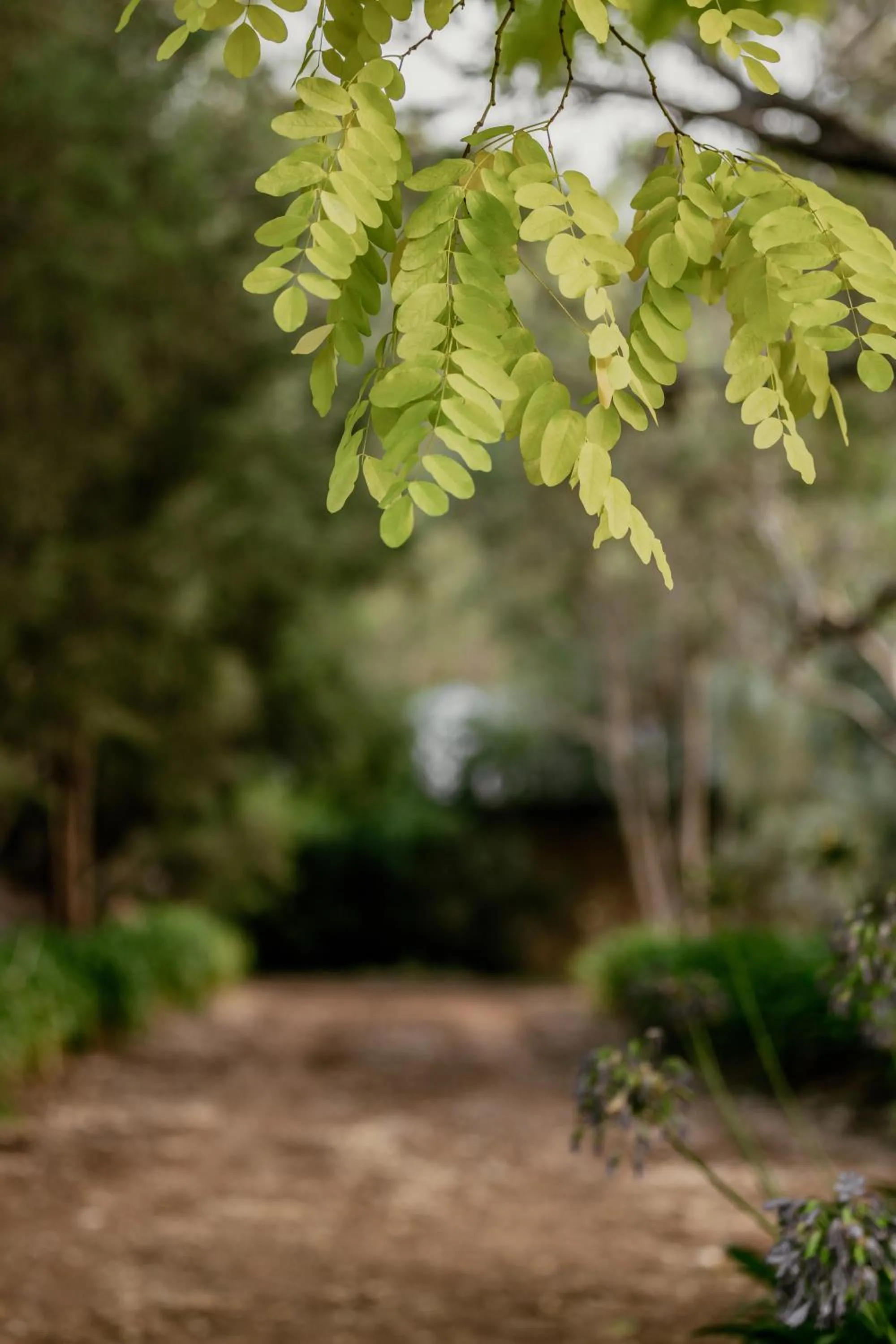 Balingup Jalbrook Cottages Jalbrook Estate