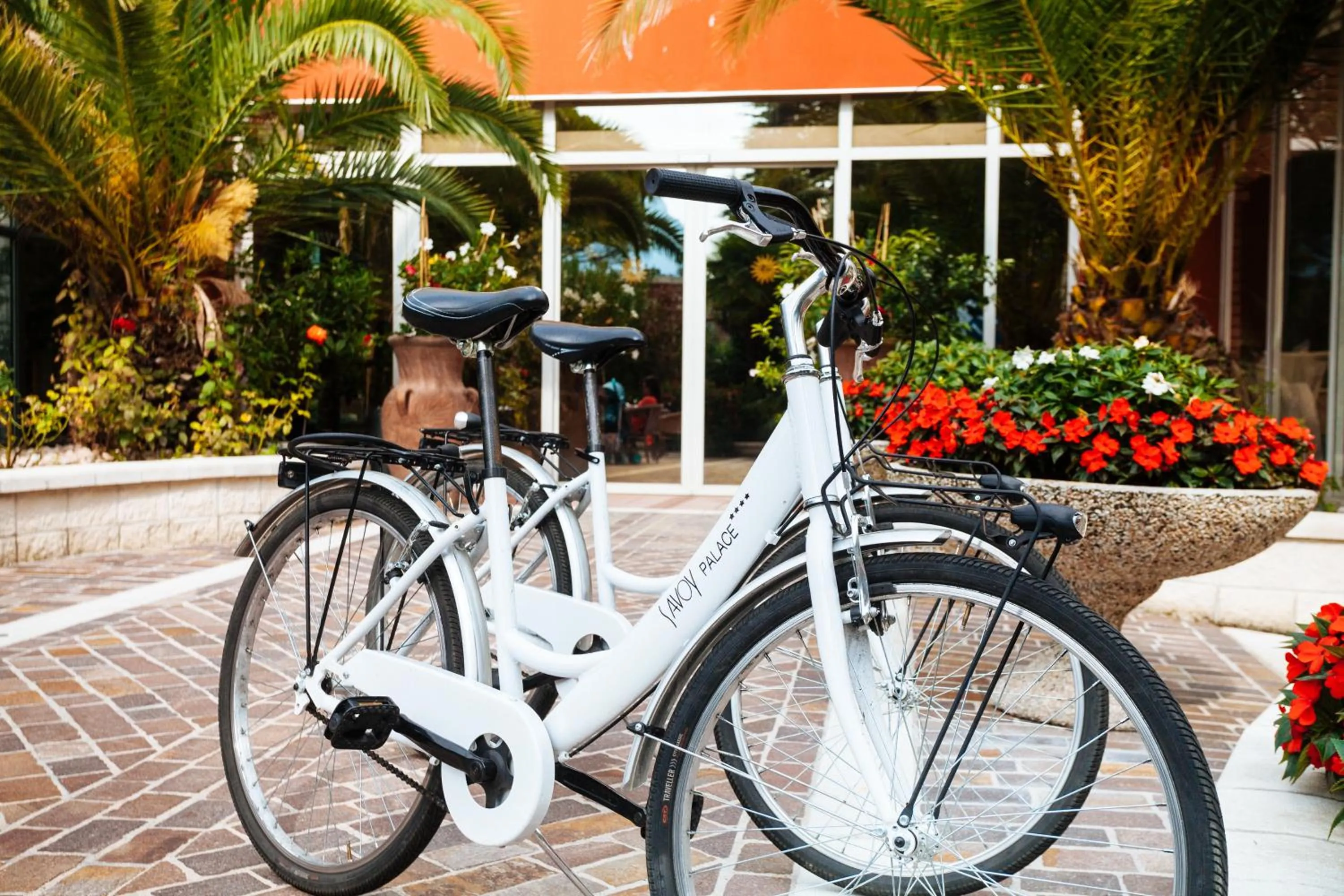 Cycling in Hotel Savoy Palace - Tonelli Hotels