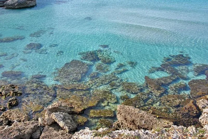 Natural landscape in Villa Pirreca