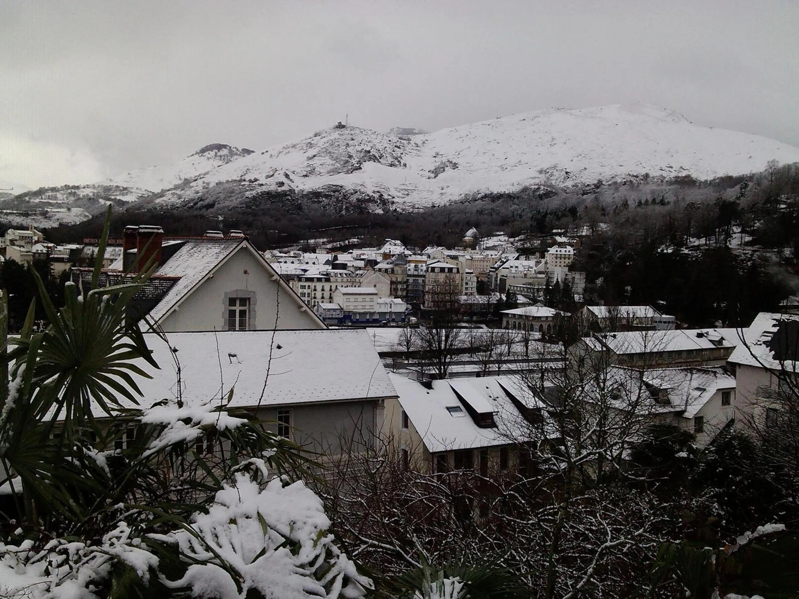 Area and facilities in Hôtel Majestic