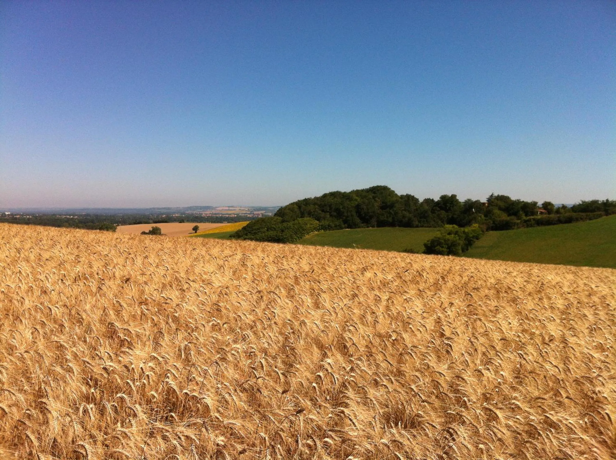 Natural landscape in Le Moulin du Carla