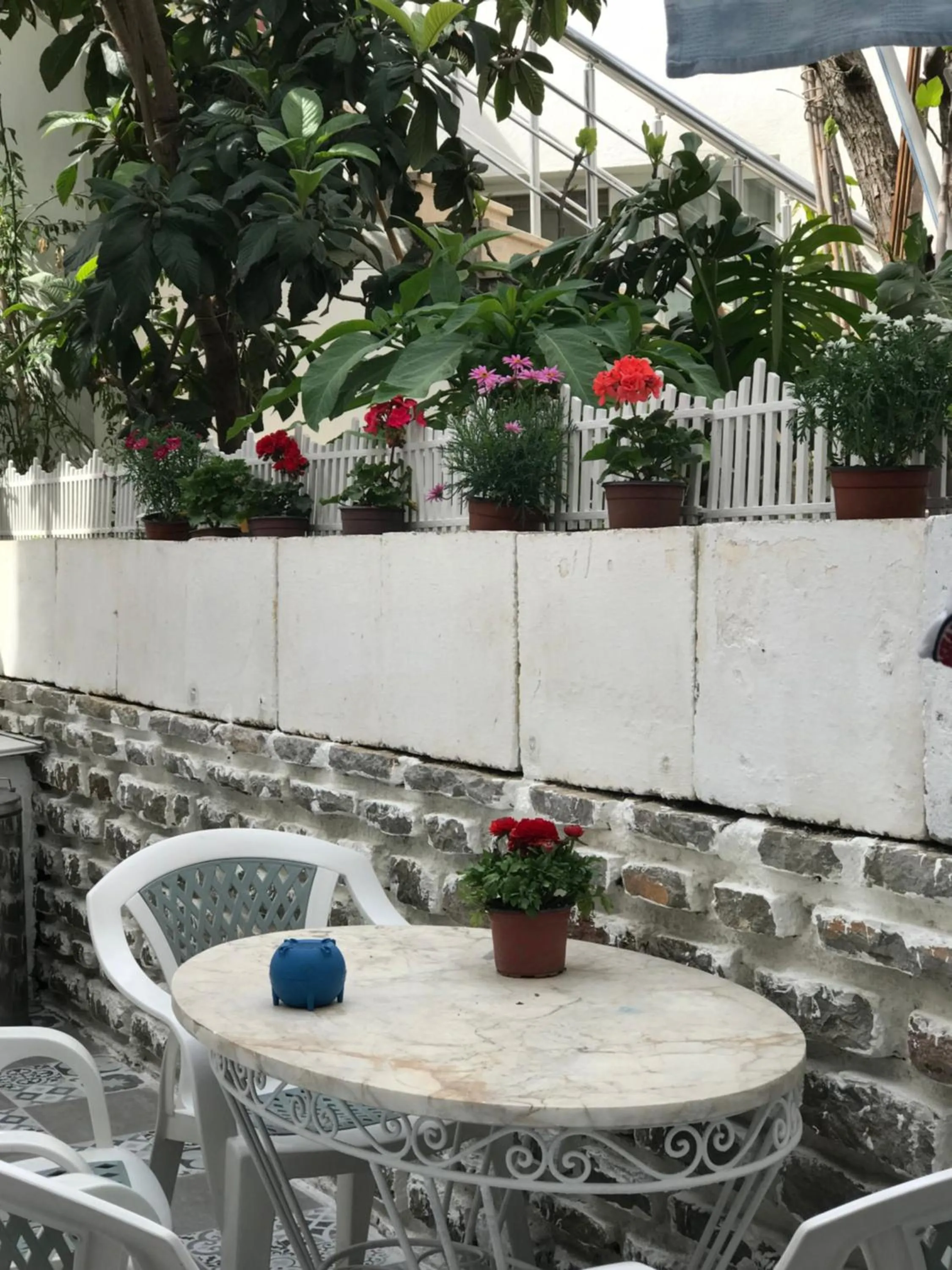 Garden in Halikarnas Pansiyon