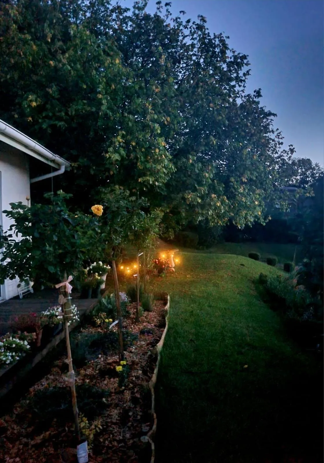 The Cottage on the Corner