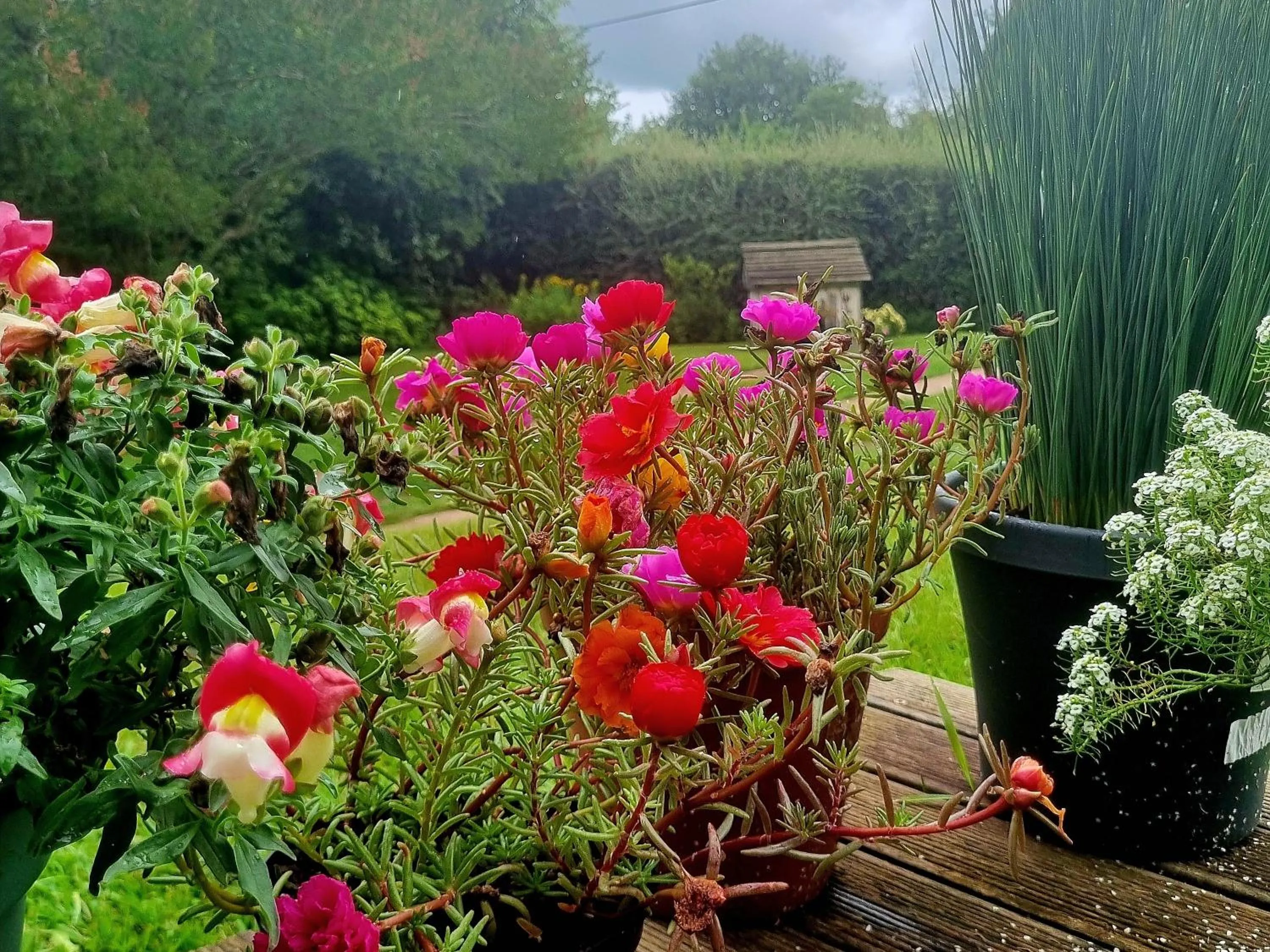 The Cottage on the Corner