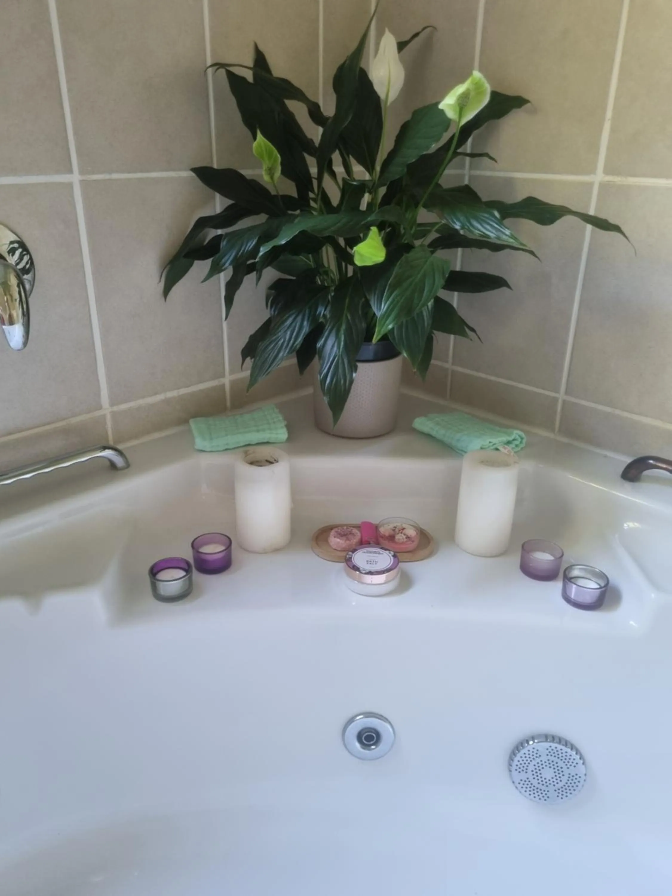 The Cottage on the Corner