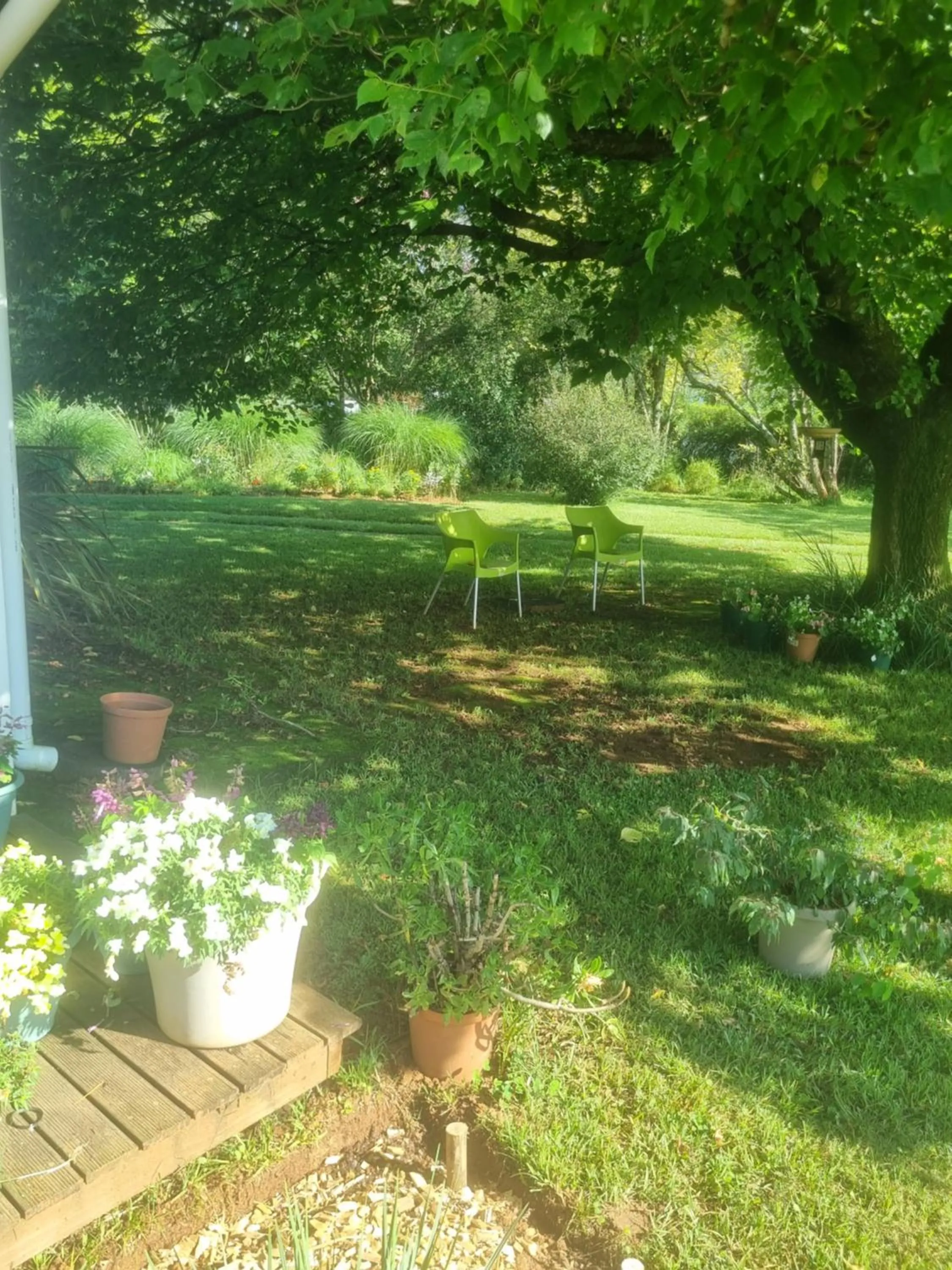 The Cottage on the Corner